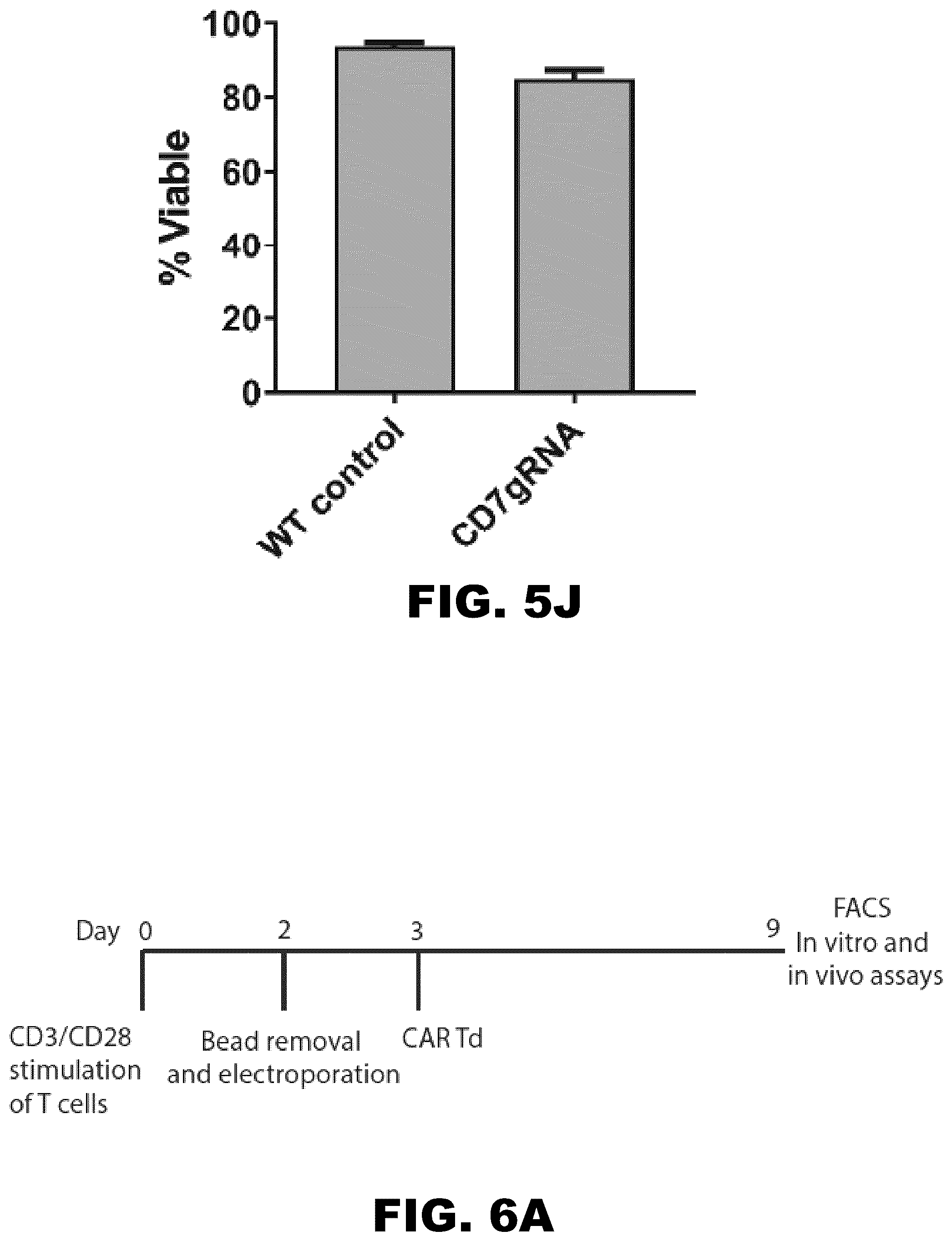 Patent US12564648 Figure 12 – Gene editing of CAR-T cells for the treatment of T cell malignancies with chimeric antigen receptors