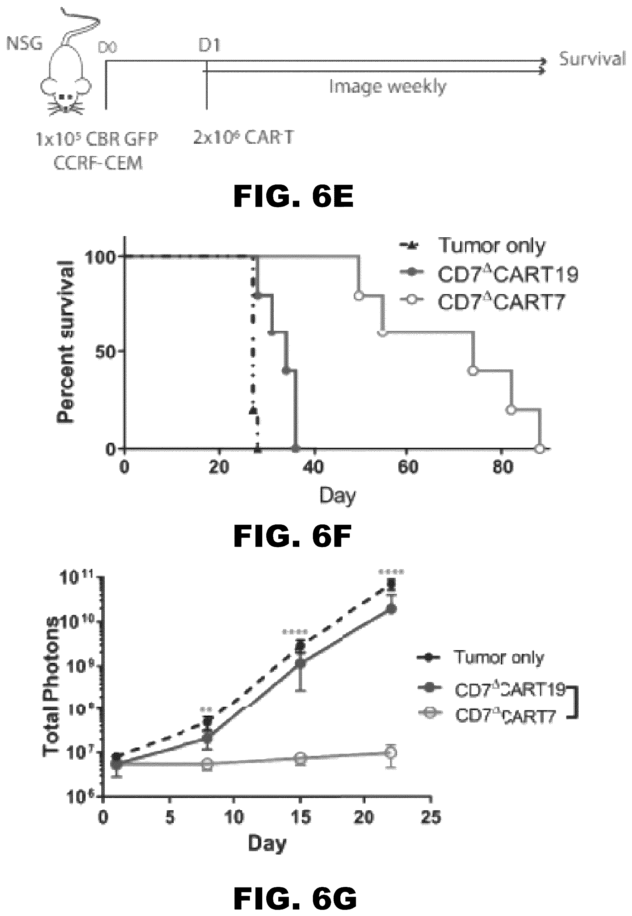 Patent US12564648 Figure 15 – Gene editing of CAR-T cells for the treatment of T cell malignancies with chimeric antigen receptors