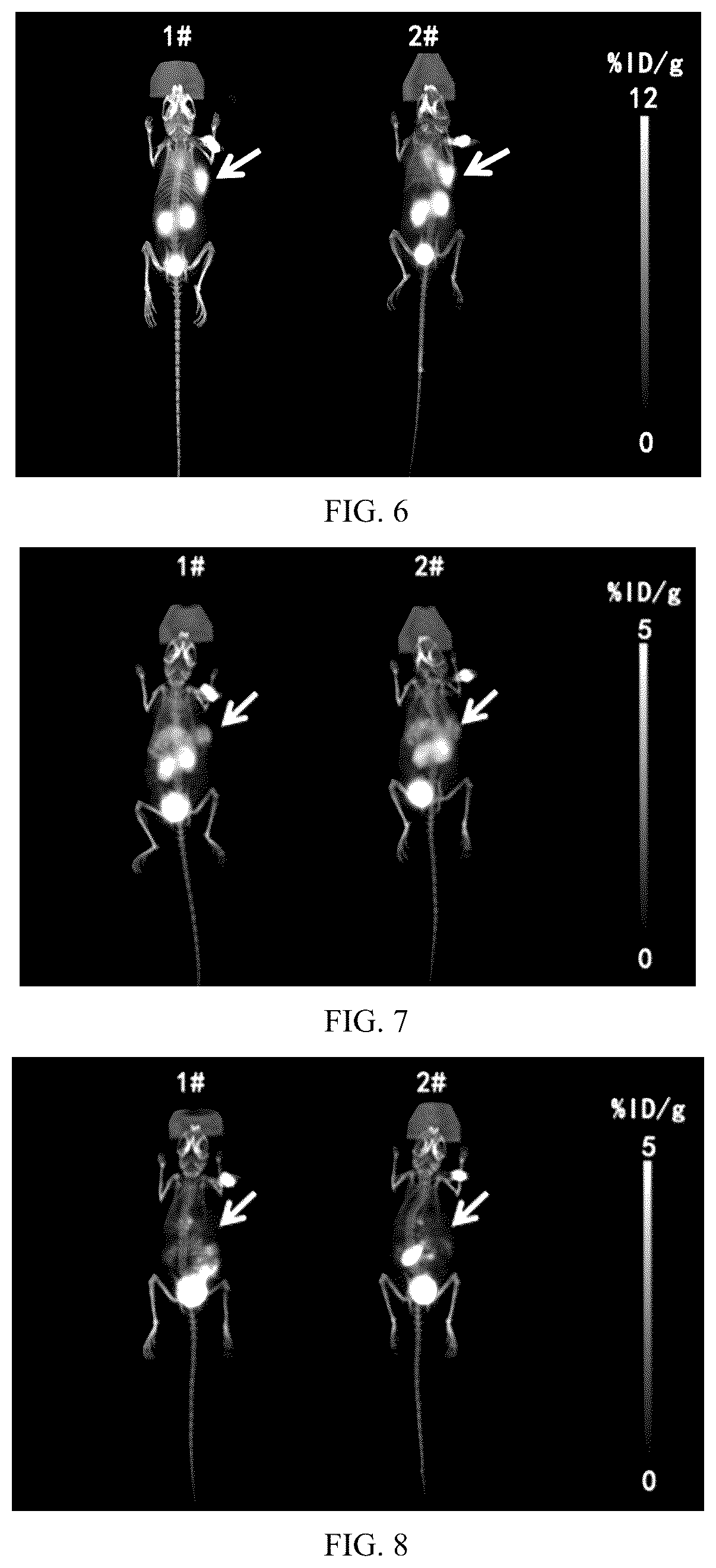 Patent US12564650 Figure 5 – Carbonic anhydrase IX-targeting radioactive diagnostic and therapeutic medicament and method for preparing same