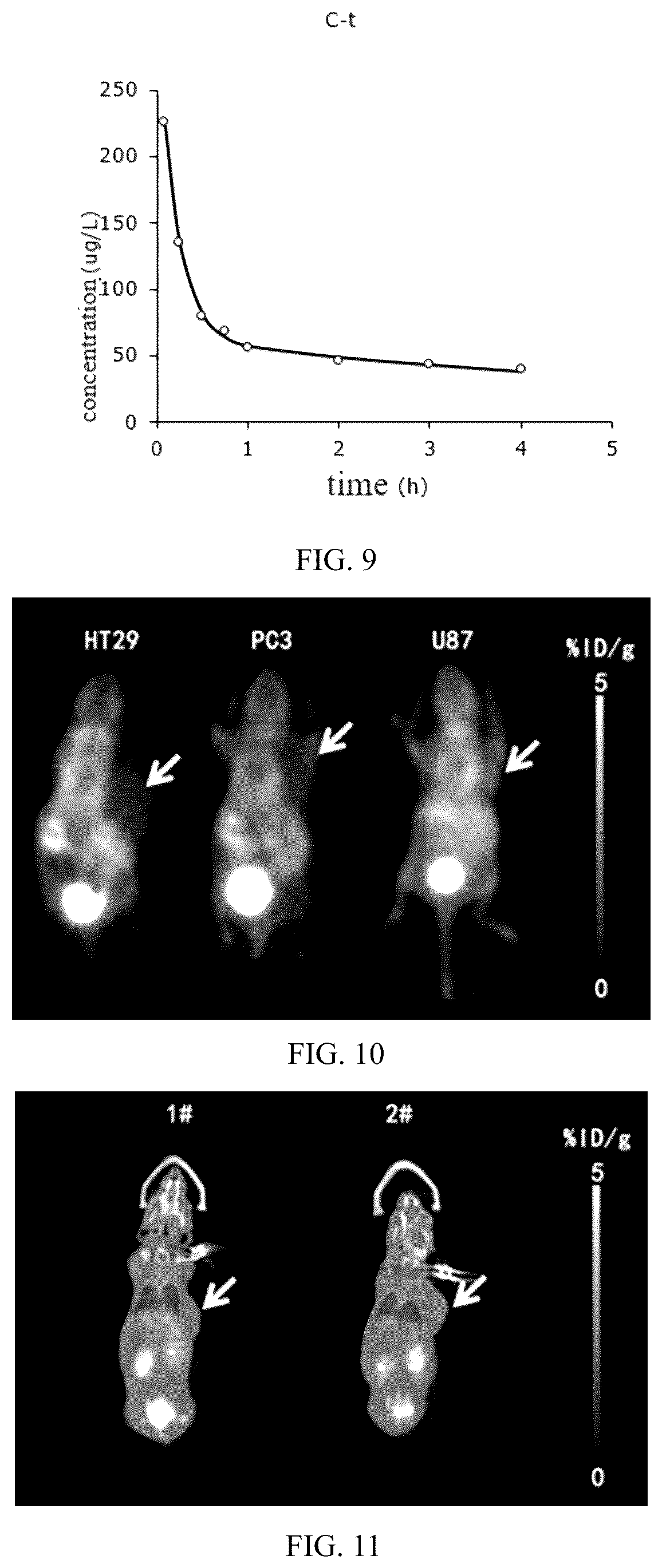 Patent US12564650 Figure 6 – Carbonic anhydrase IX-targeting radioactive diagnostic and therapeutic medicament and method for preparing same