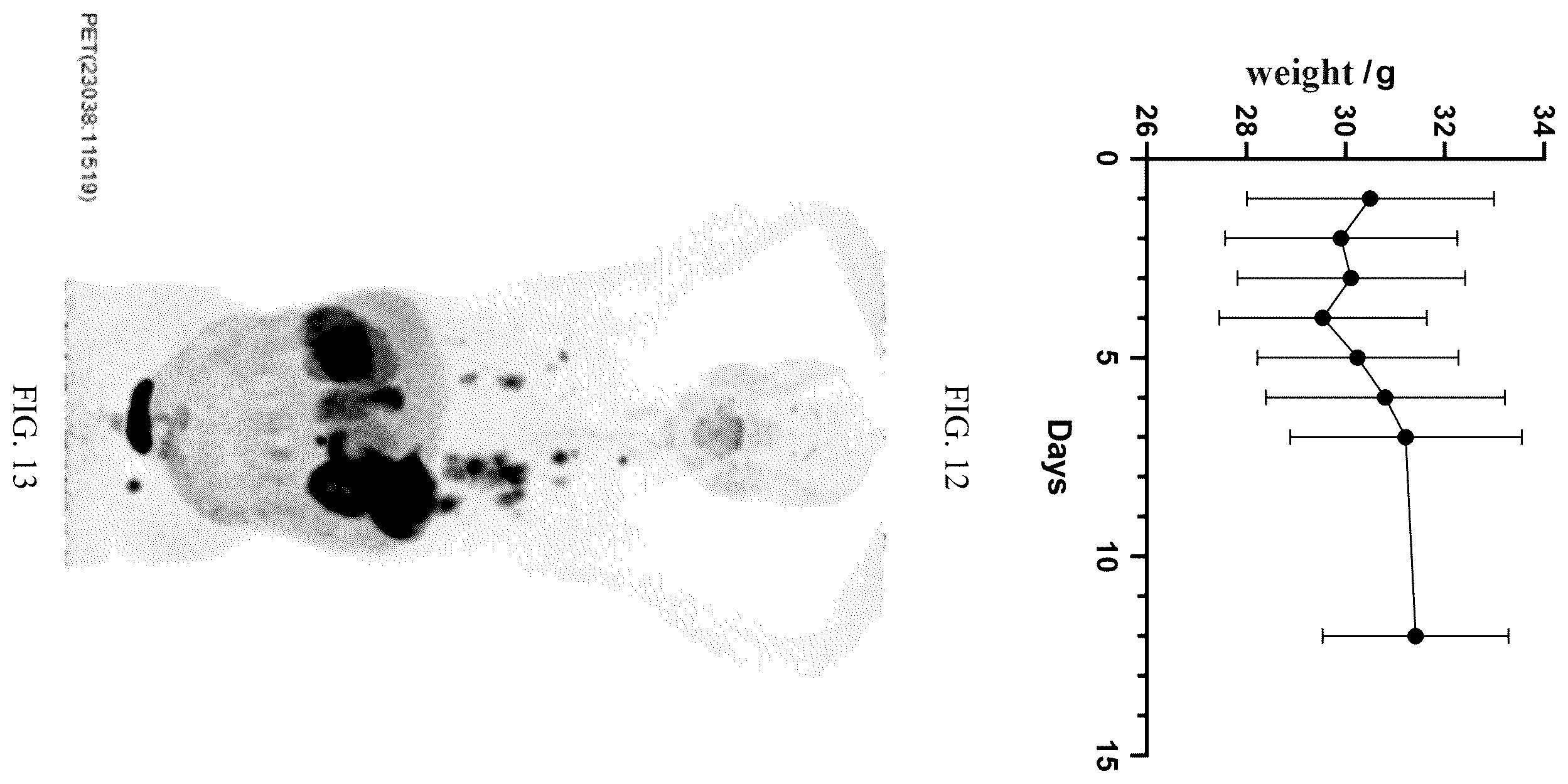 Patent US12564650 Figure 7 – Carbonic anhydrase IX-targeting radioactive diagnostic and therapeutic medicament and method for preparing same