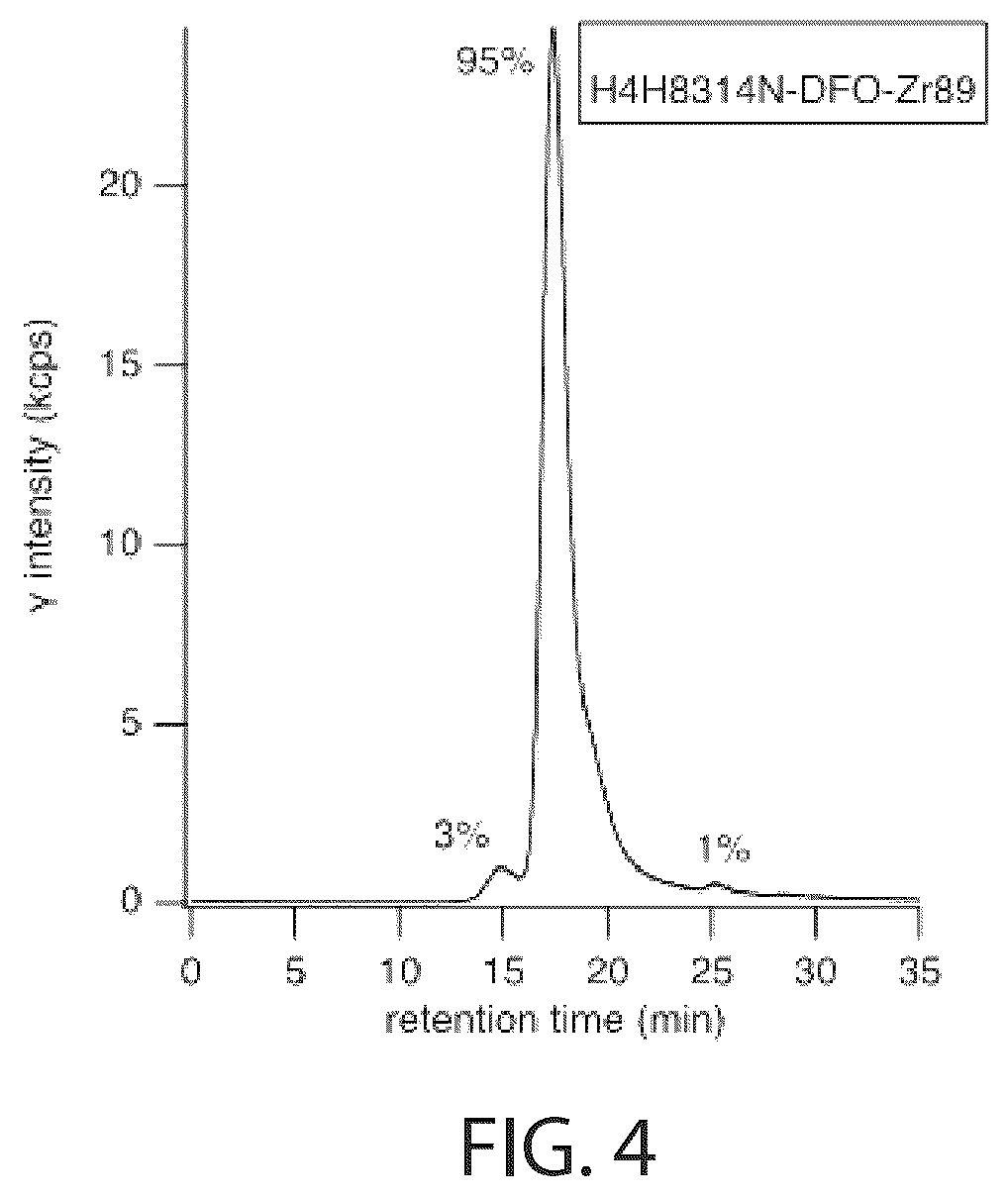 Patent US12564651 Figure 4 – Radiolabeled anti-PD-L1 antibodies for immuno-PET imaging