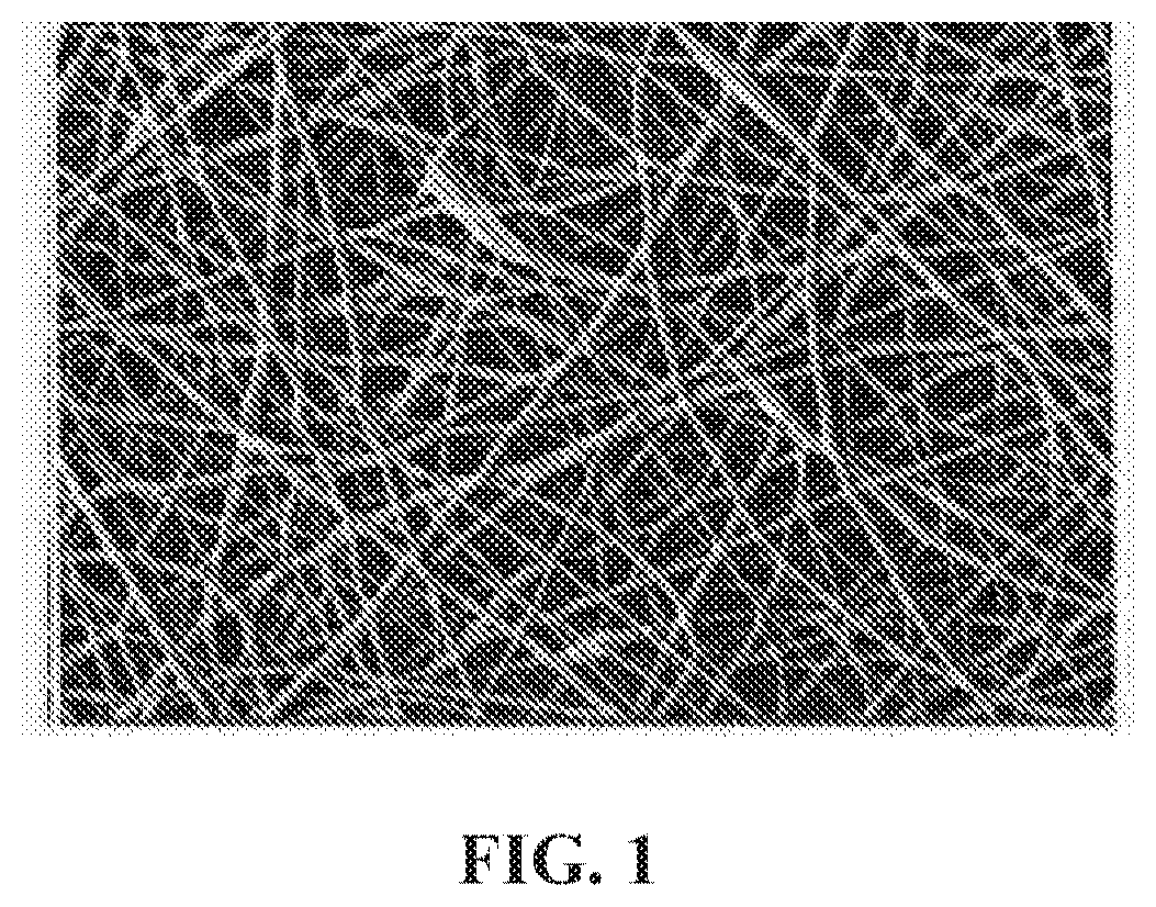 Patent US12564658 Figure 1 – Tissue substitute materials and methods for tissue repair