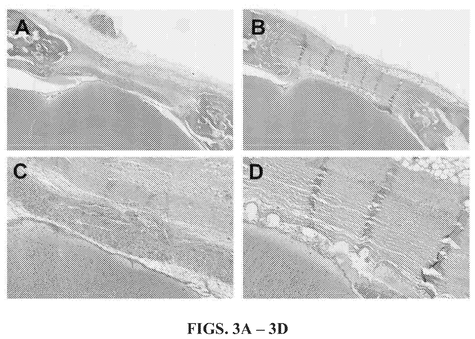 Patent US12564658 Figure 3 – Tissue substitute materials and methods for tissue repair