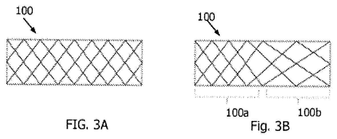 Patent US12564659 Figure 3 – Implantable scaffolds for treatment of sinusitis