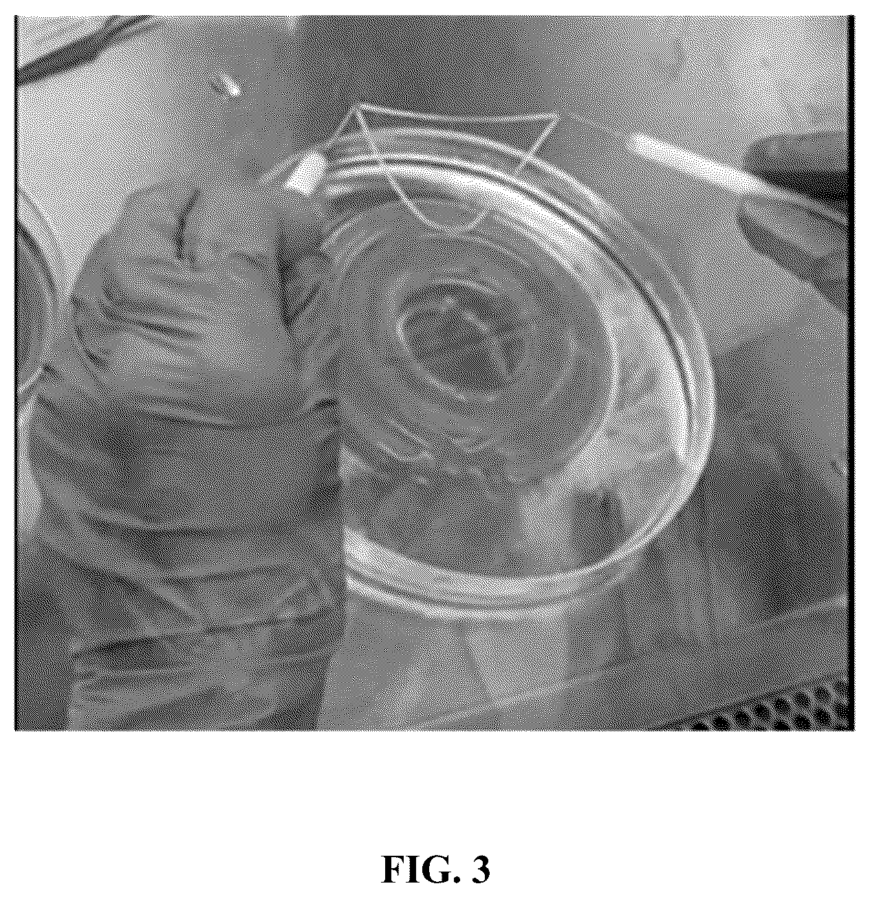 Patent US12564660 Figure 3 – Biofabrication of vaginal support using vaginally derived cells