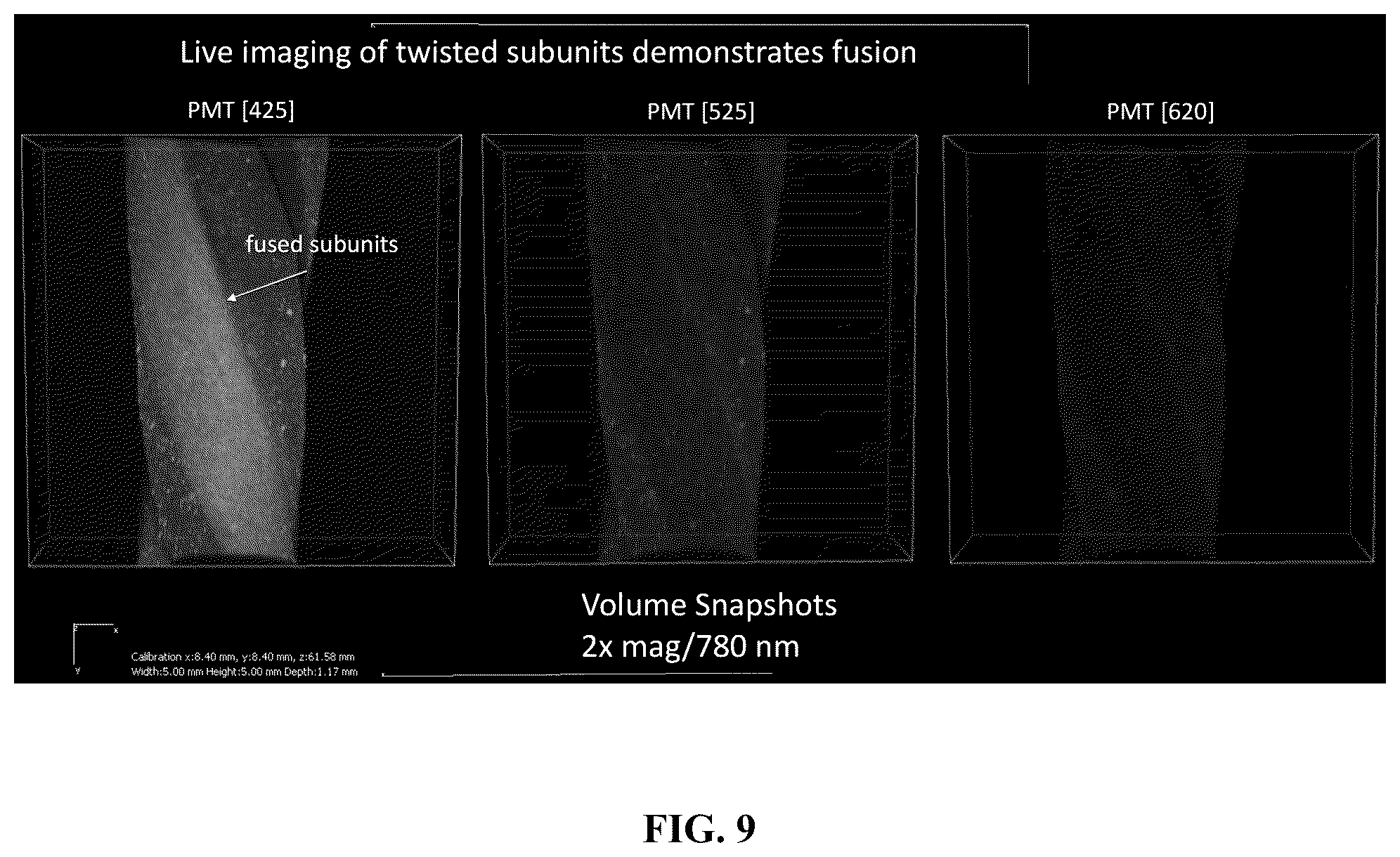 Patent US12564660 Figure 9 – Biofabrication of vaginal support using vaginally derived cells