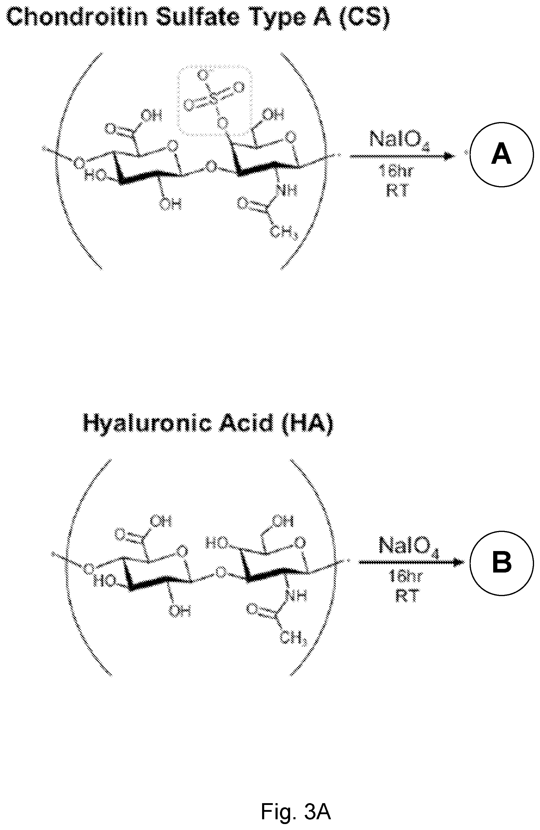 Patent US12564661 Figure 5 – Approach to repair tissue defects by bonding injectable gels to native soft tissues
