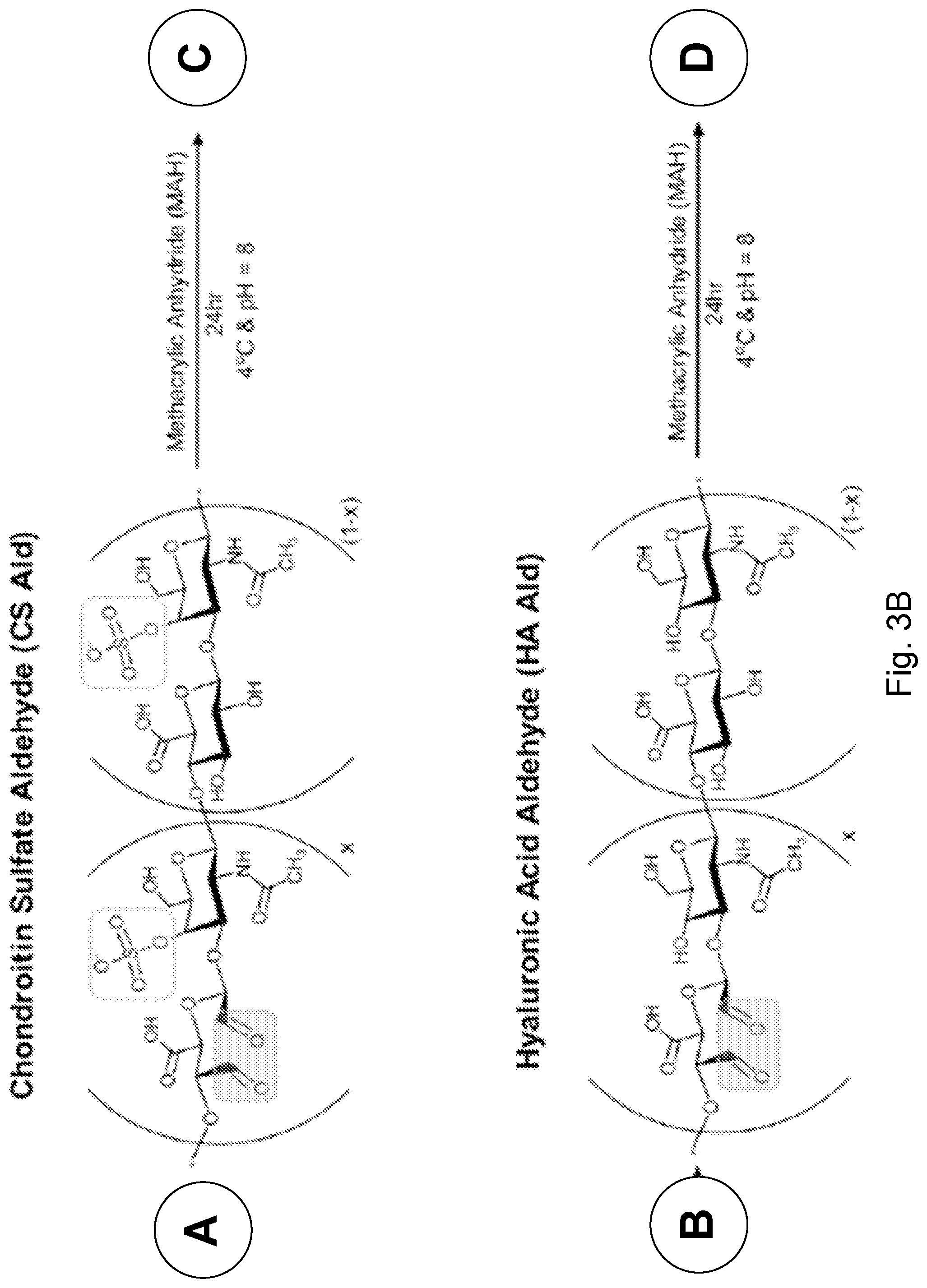 Patent US12564661 Figure 6 – Approach to repair tissue defects by bonding injectable gels to native soft tissues