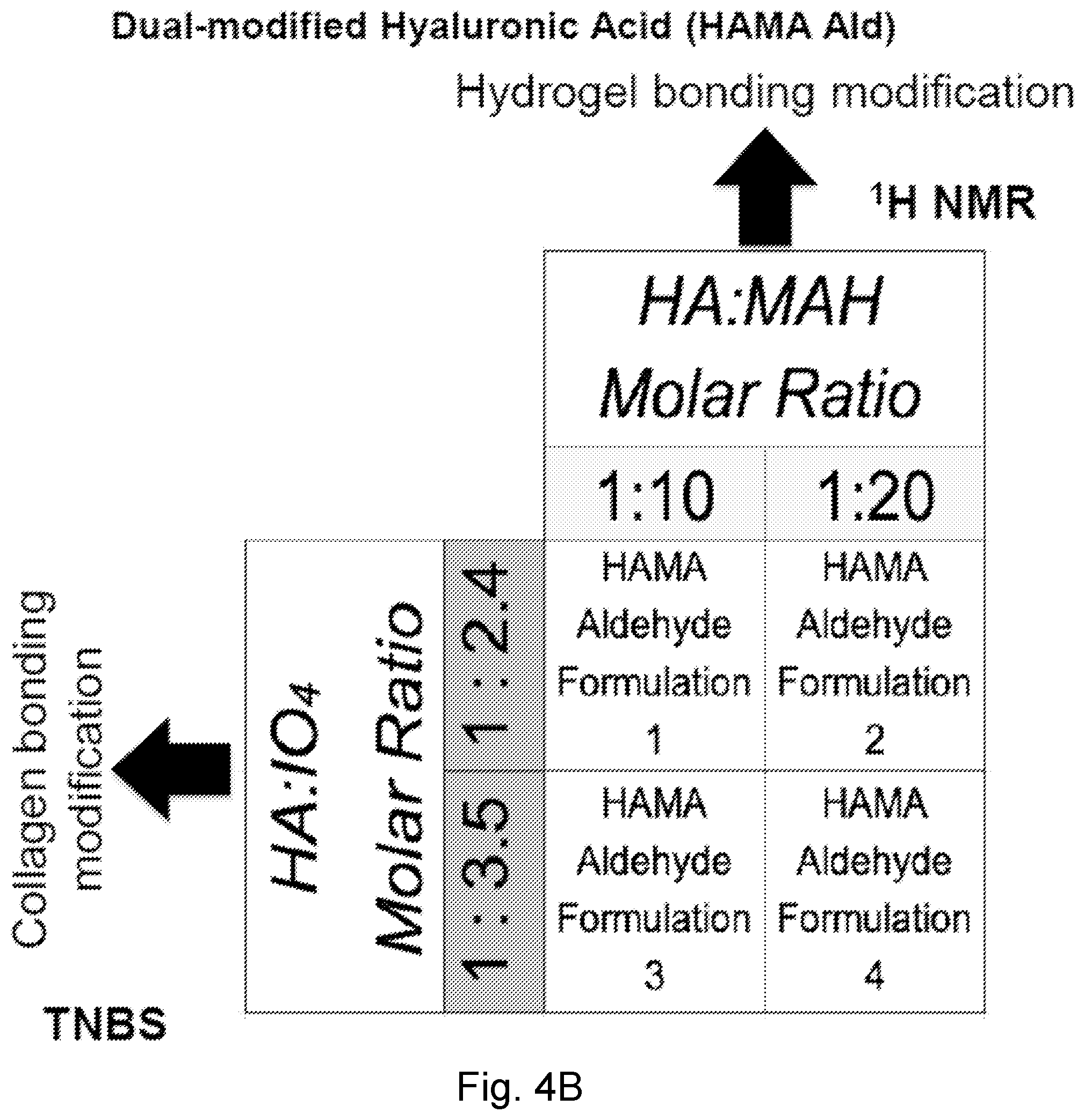 Patent US12564661 Figure 9 – Approach to repair tissue defects by bonding injectable gels to native soft tissues