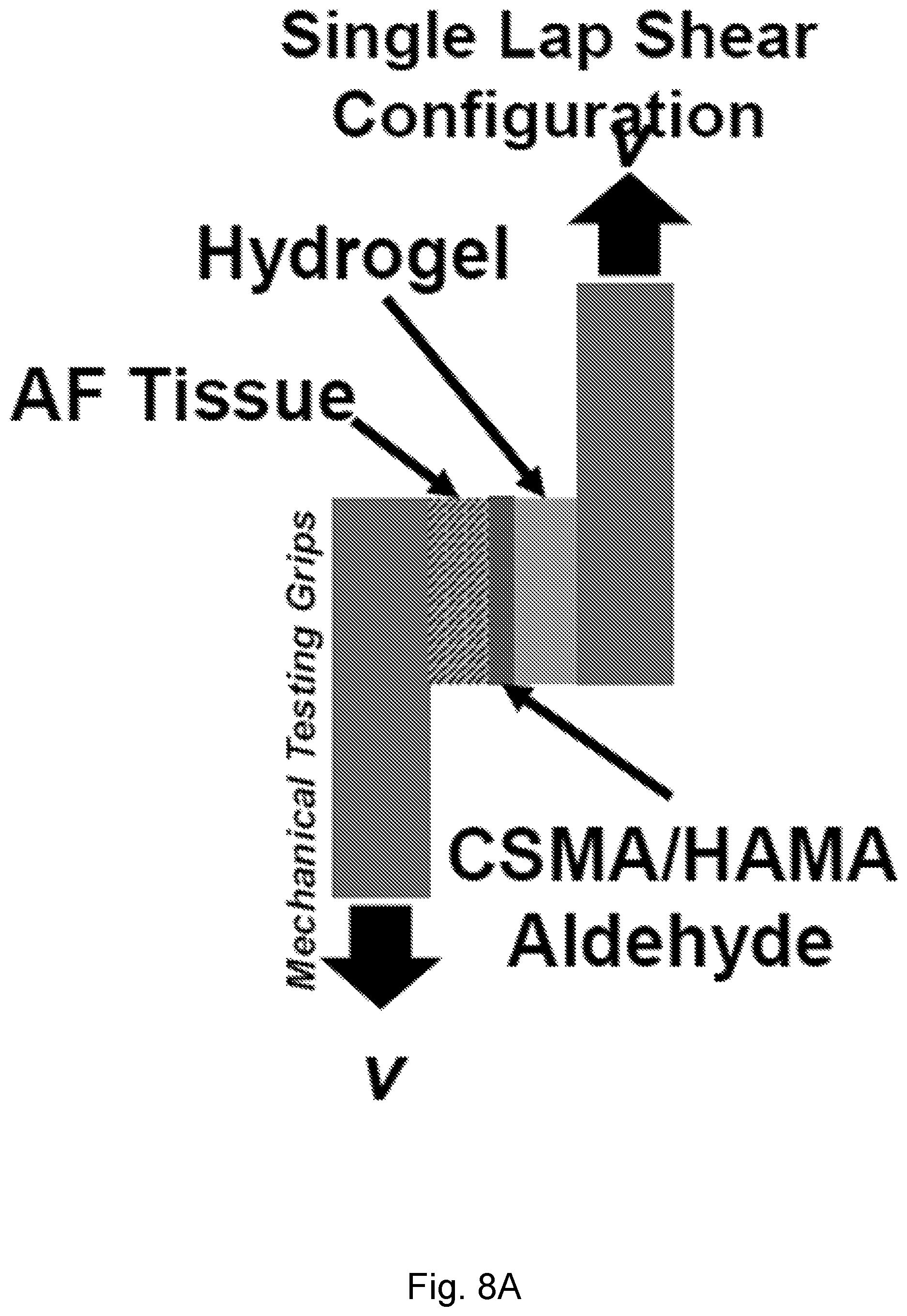 Patent US12564661 Figure 16 – Approach to repair tissue defects by bonding injectable gels to native soft tissues