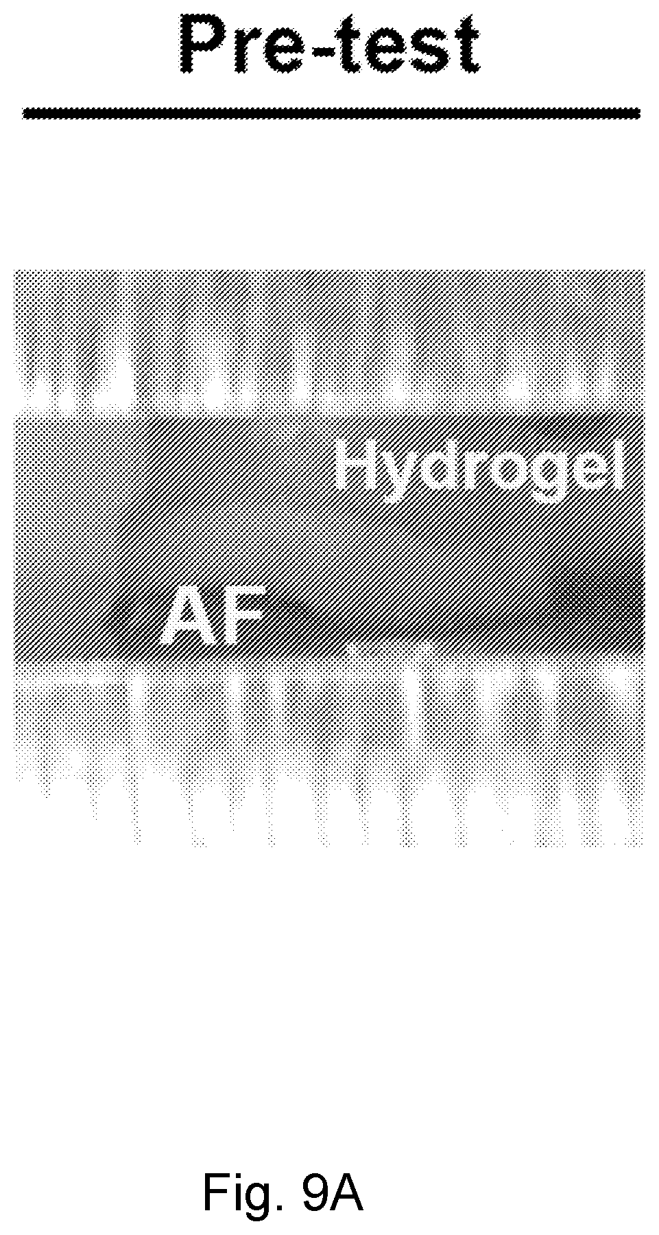 Patent US12564661 Figure 18 – Approach to repair tissue defects by bonding injectable gels to native soft tissues