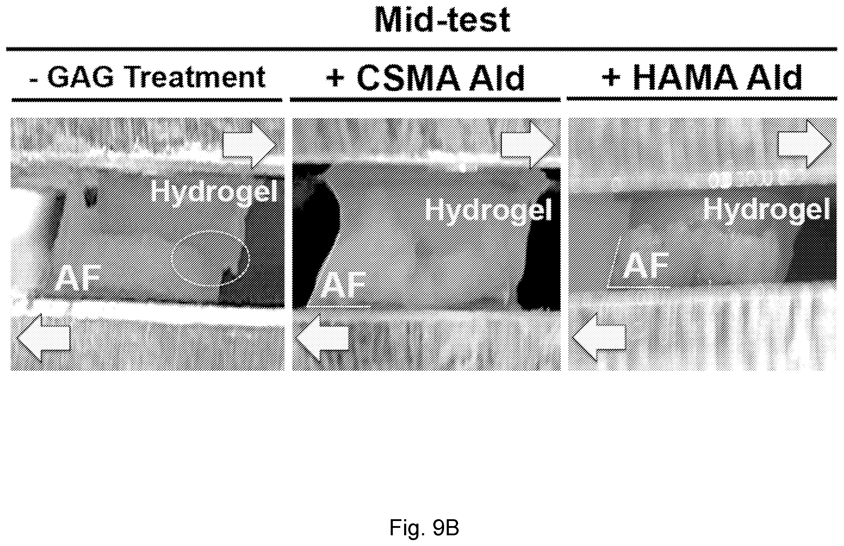 Patent US12564661 Figure 19 – Approach to repair tissue defects by bonding injectable gels to native soft tissues