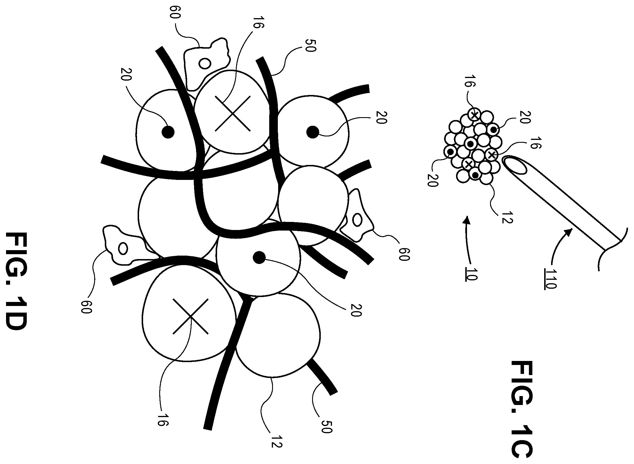 Patent US12564663 Figure 2 – Microporous annealed particle gel system