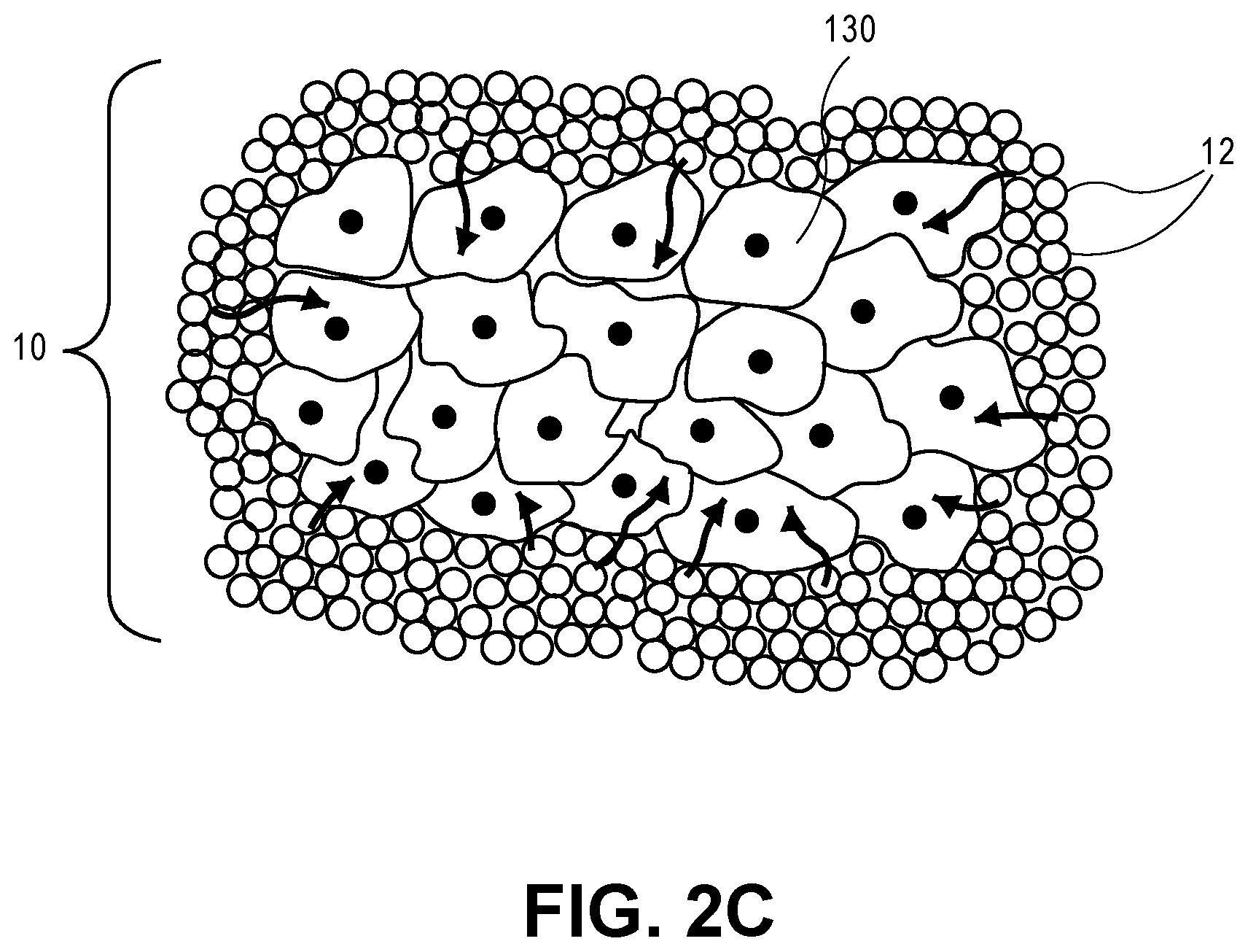 Patent US12564663 Figure 4 – Microporous annealed particle gel system