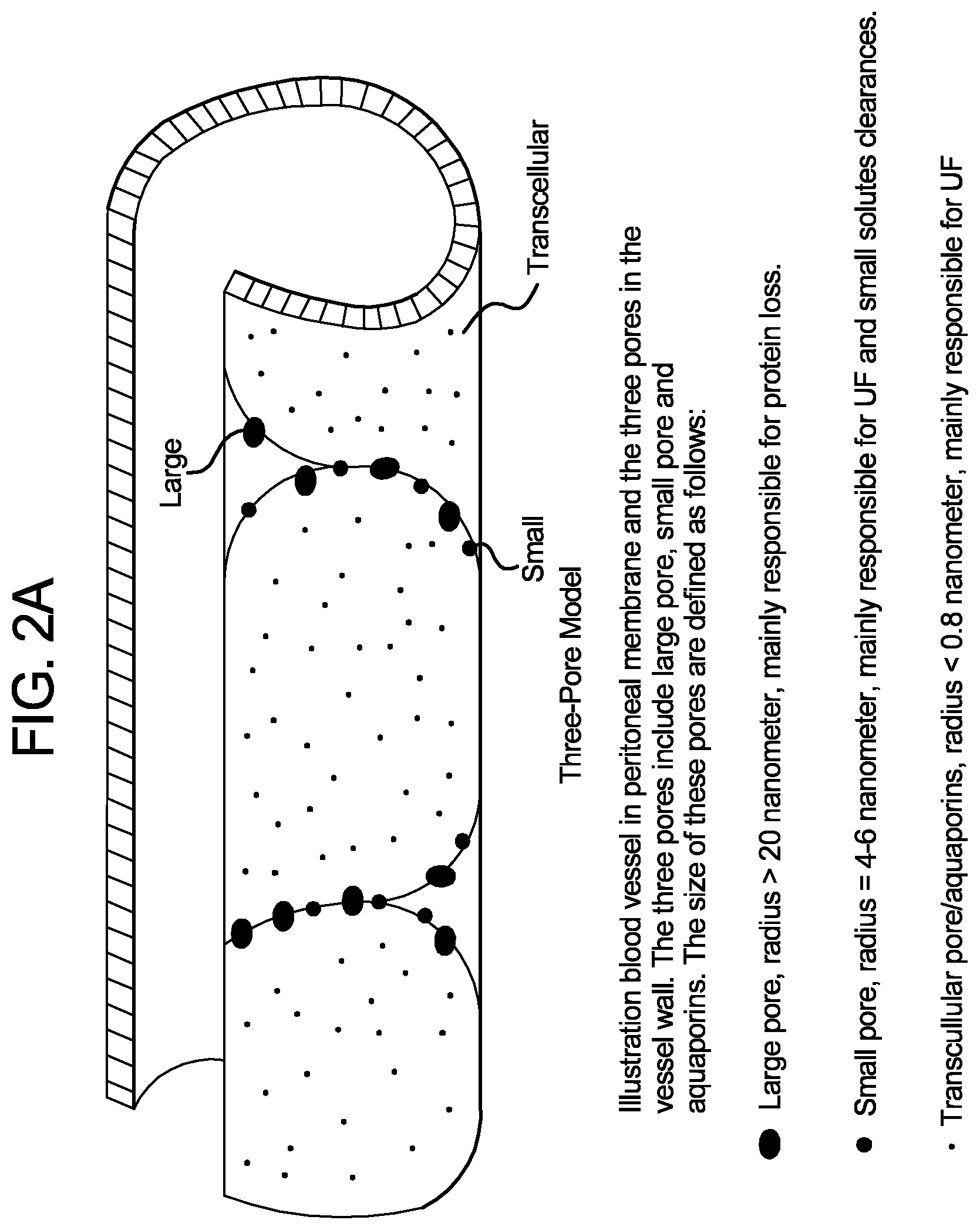 Patent US12564665 Figure 2 – Dialysis apparatus including therapy prescription selection