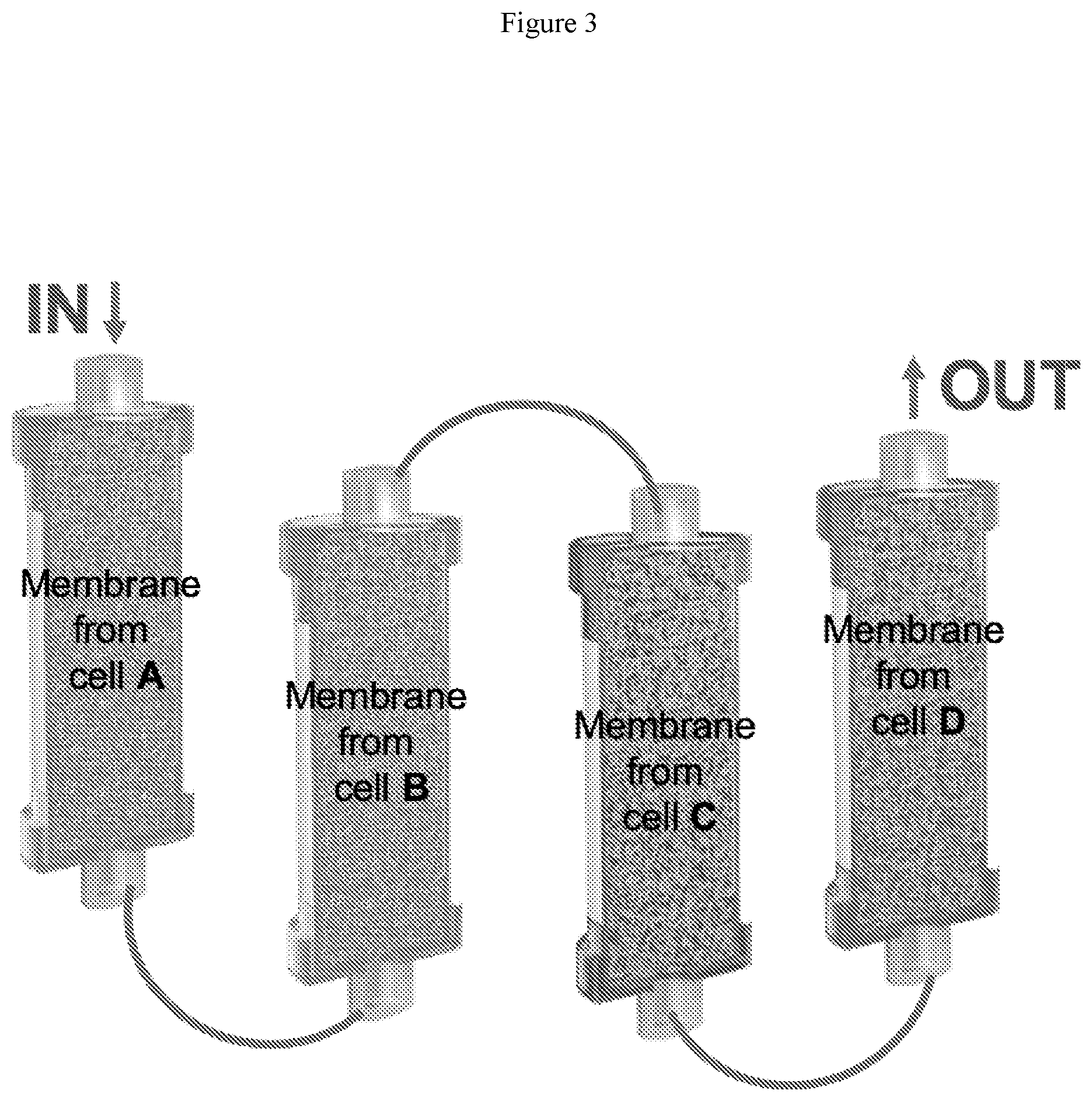 Patent US12564667 Figure 3 – Devices containing cellular membrane and uses thereof