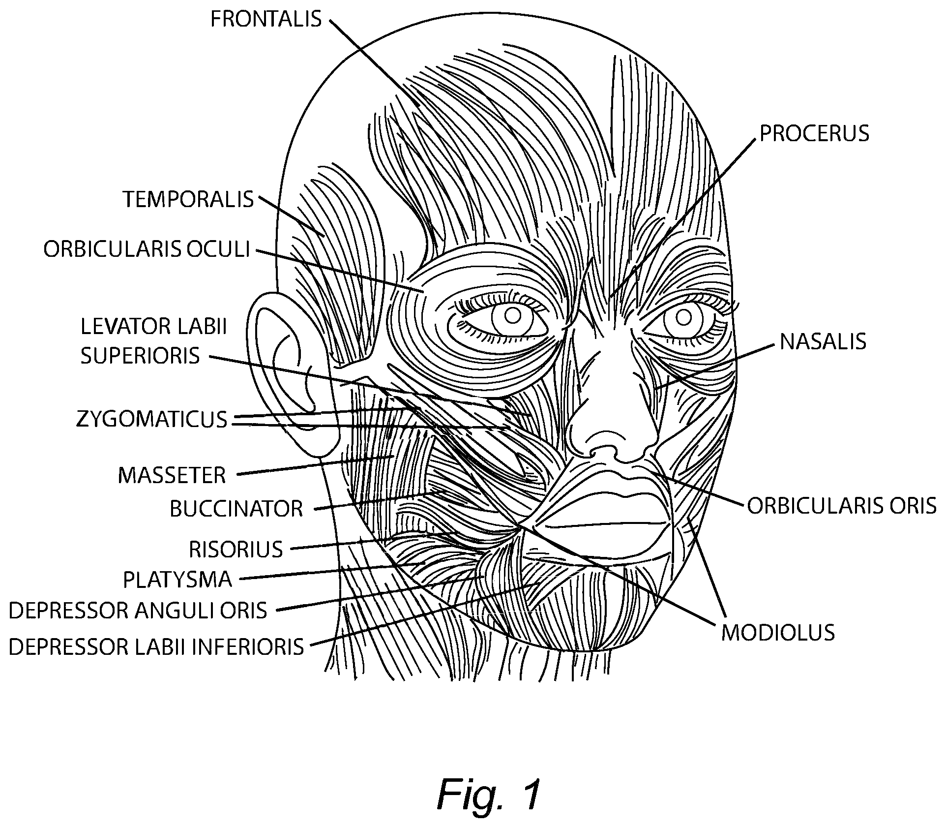 Patent US12564761 Figure 1 – Device for facial and neck muscles stimulation