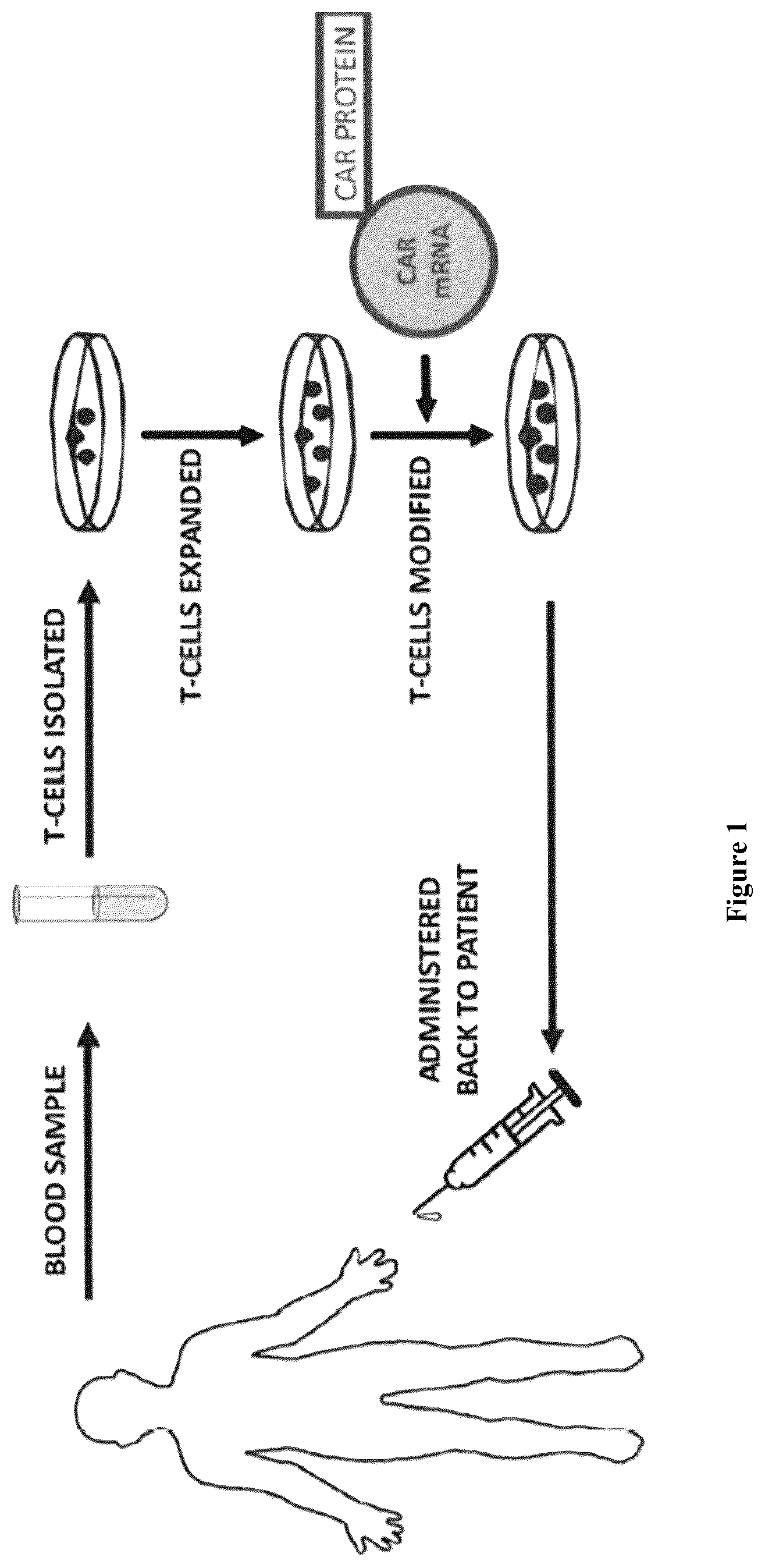 Patent US12564822 Figure 1 – Device for manufacture of T-cells for autologous cell therapy