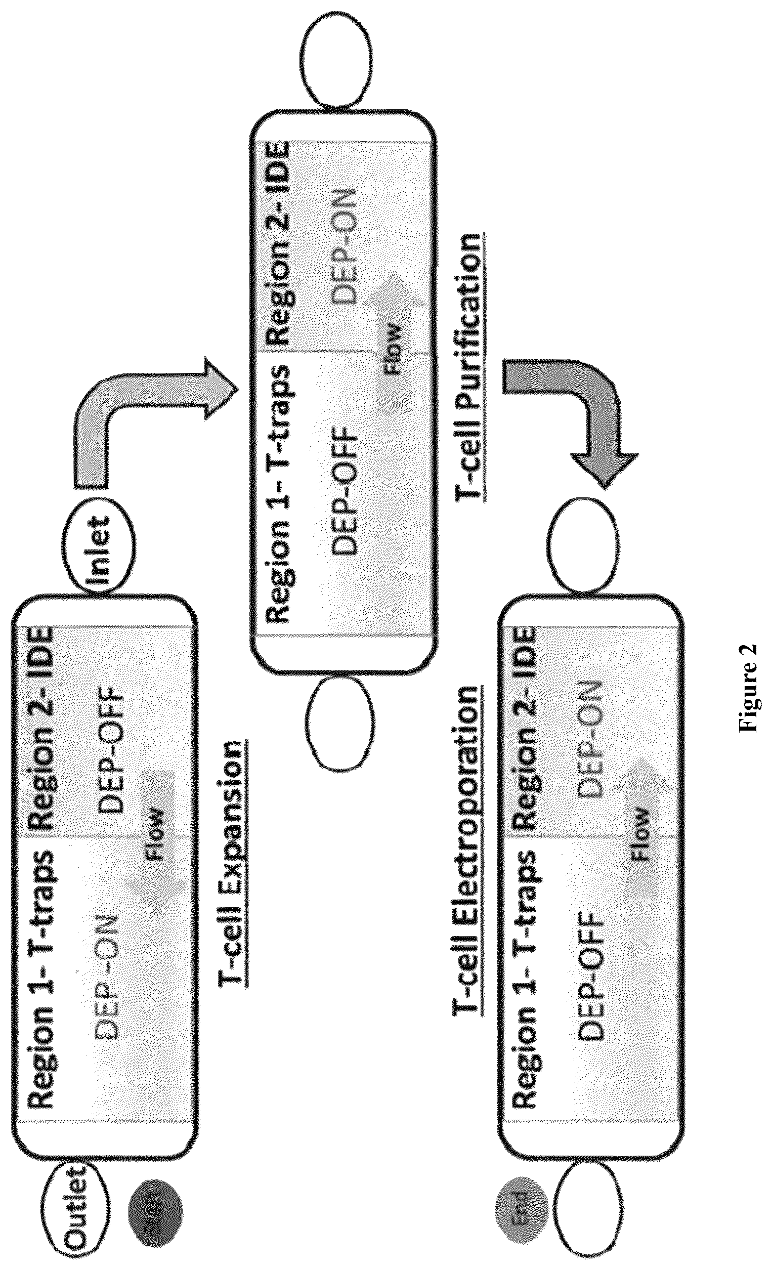 Patent US12564822 Figure 2 – Device for manufacture of T-cells for autologous cell therapy