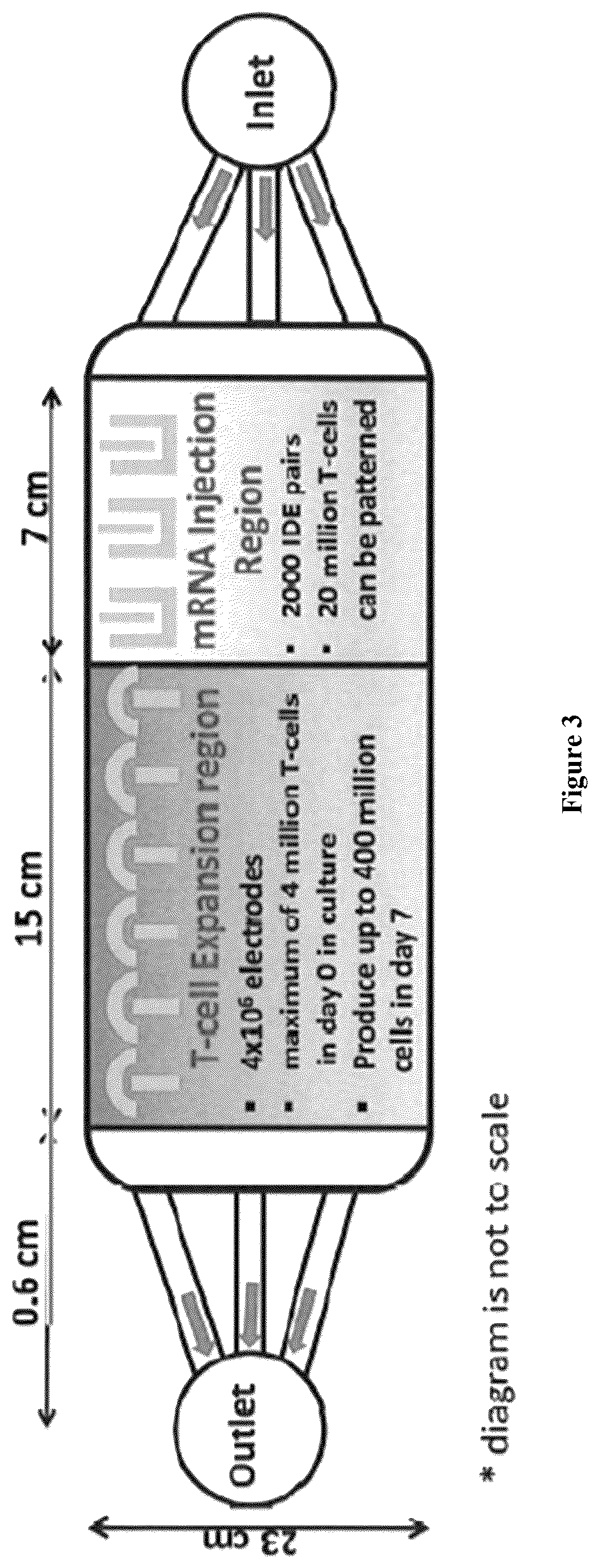 Patent US12564822 Figure 3 – Device for manufacture of T-cells for autologous cell therapy