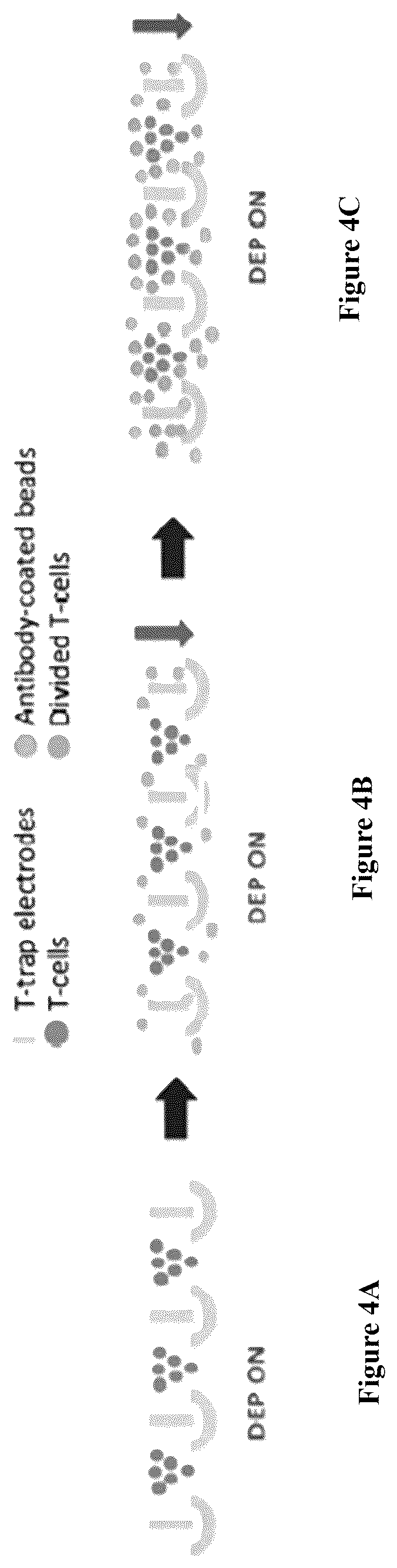Patent US12564822 Figure 4 – Device for manufacture of T-cells for autologous cell therapy