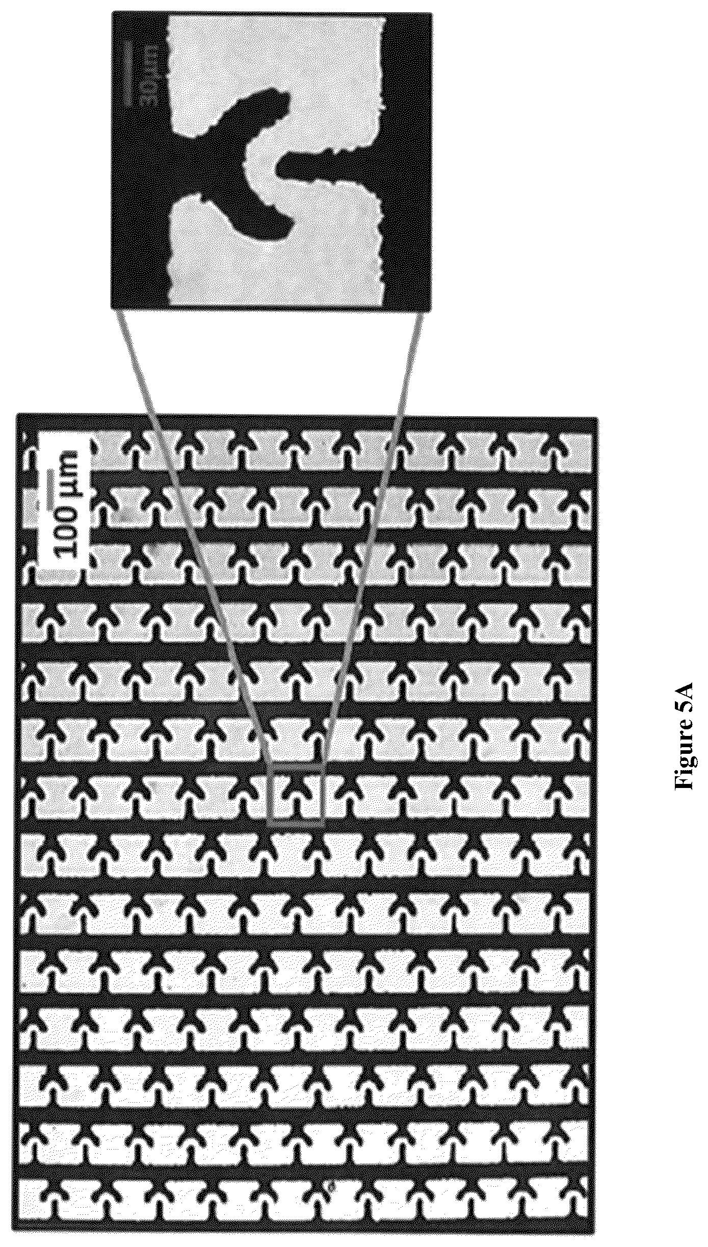 Patent US12564822 Figure 5 – Device for manufacture of T-cells for autologous cell therapy