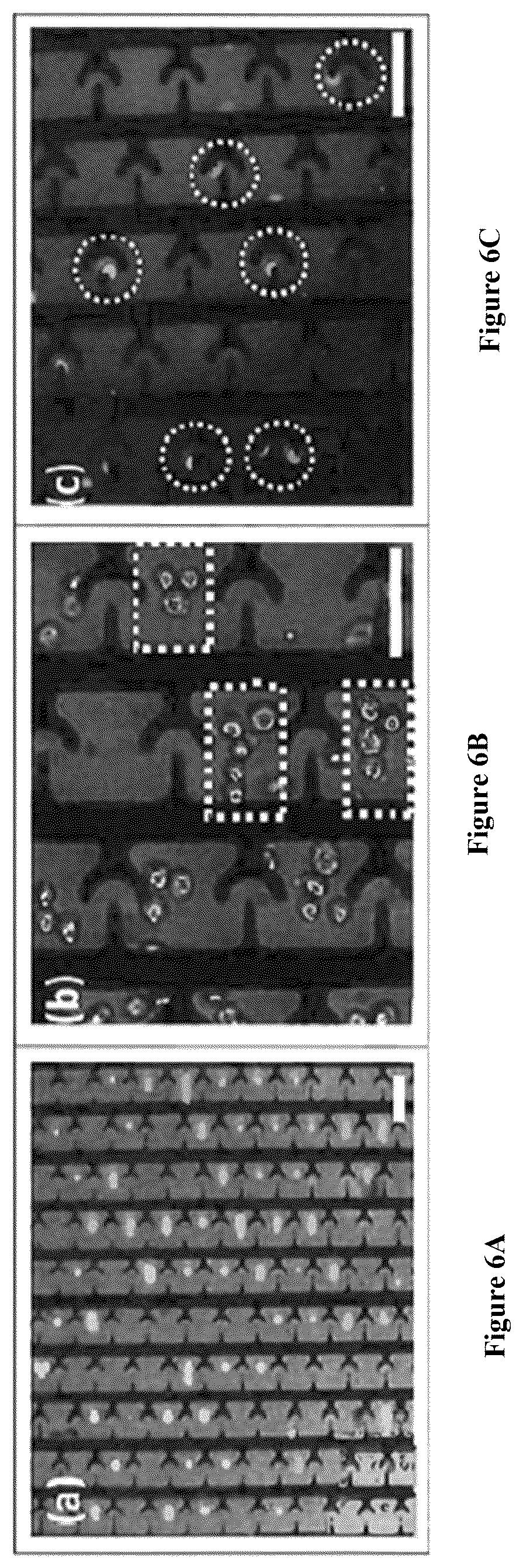 Patent US12564822 Figure 7 – Device for manufacture of T-cells for autologous cell therapy