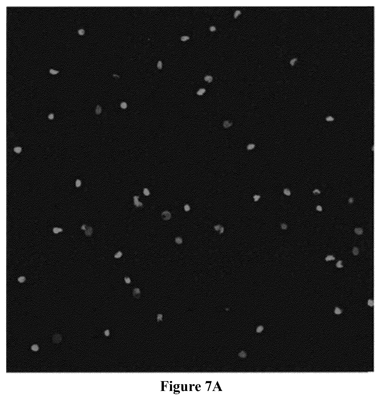 Patent US12564822 Figure 8 – Device for manufacture of T-cells for autologous cell therapy