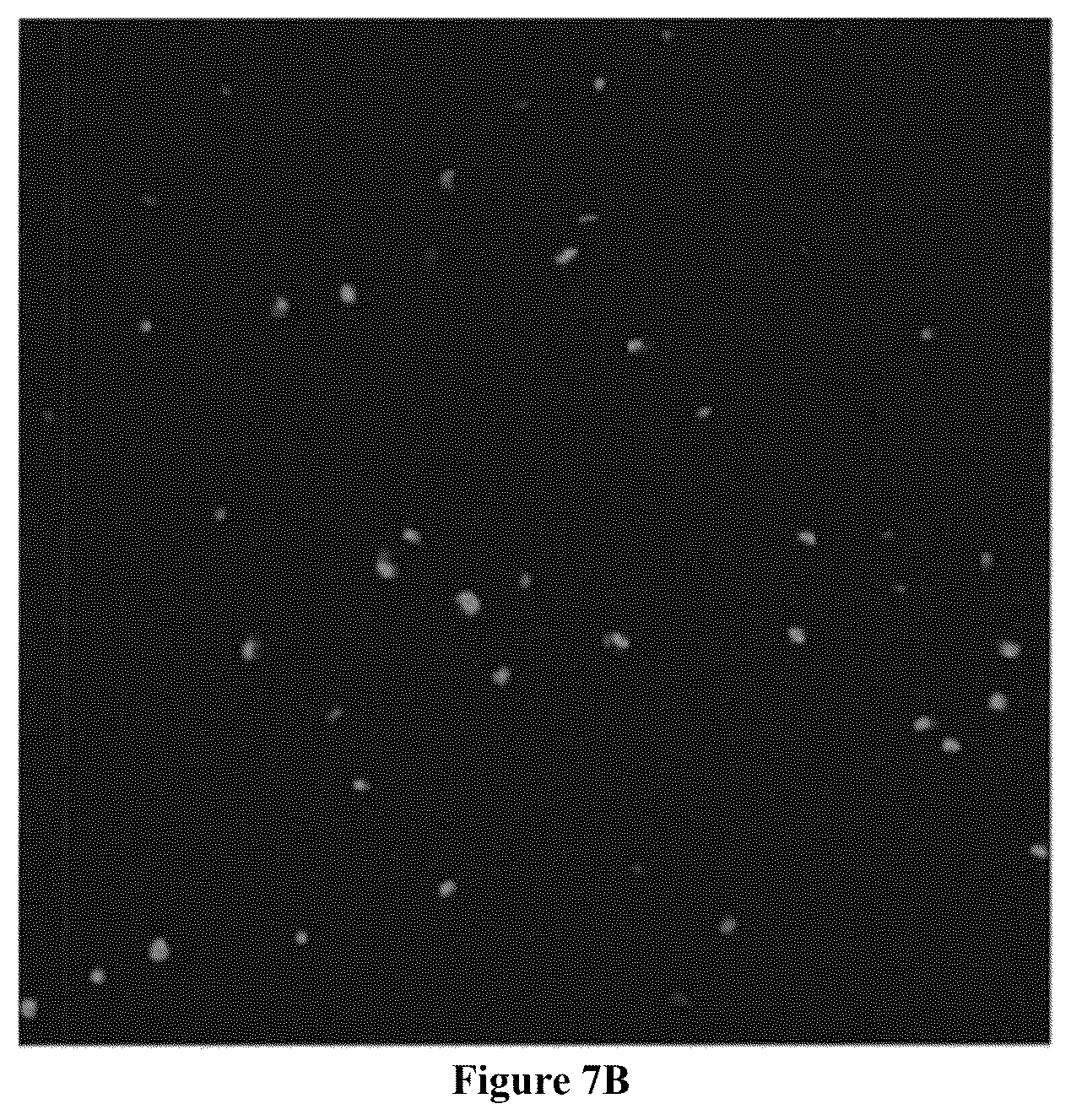 Patent US12564822 Figure 9 – Device for manufacture of T-cells for autologous cell therapy