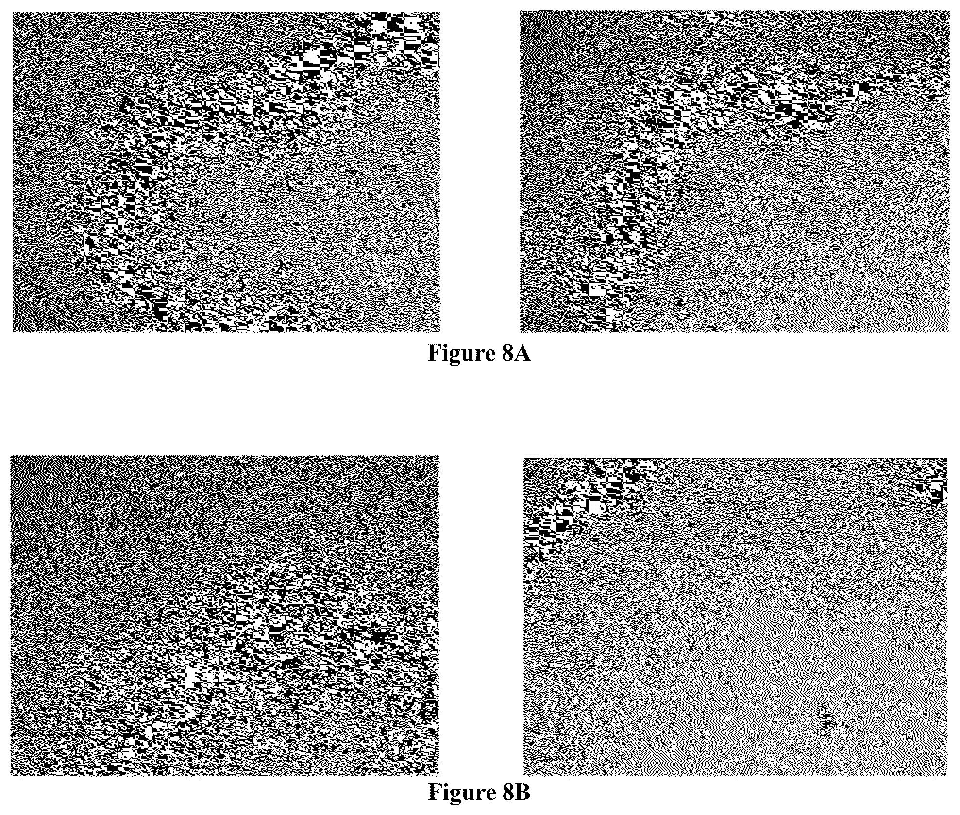 Patent US12564822 Figure 10 – Device for manufacture of T-cells for autologous cell therapy