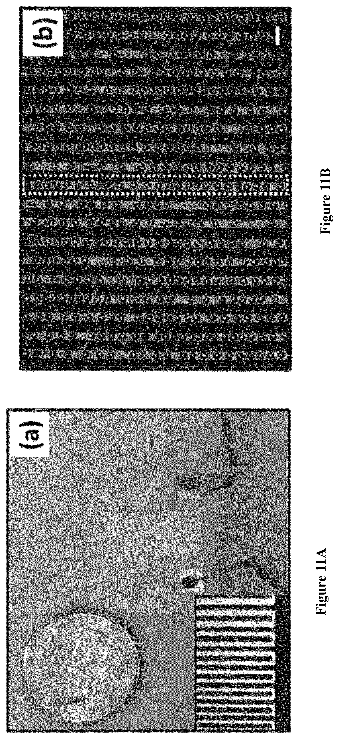 Patent US12564822 Figure 14 – Device for manufacture of T-cells for autologous cell therapy