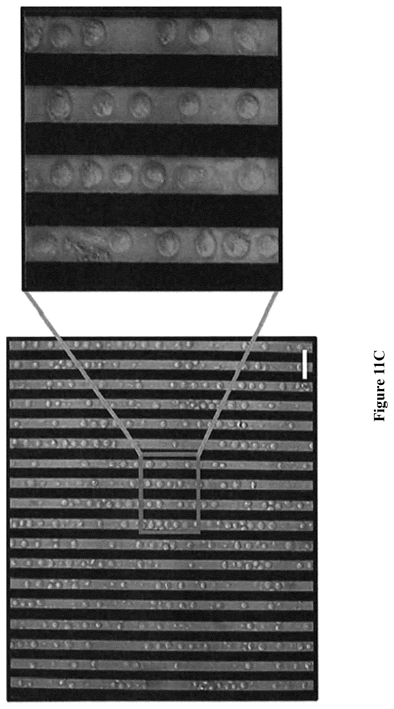 Patent US12564822 Figure 15 – Device for manufacture of T-cells for autologous cell therapy