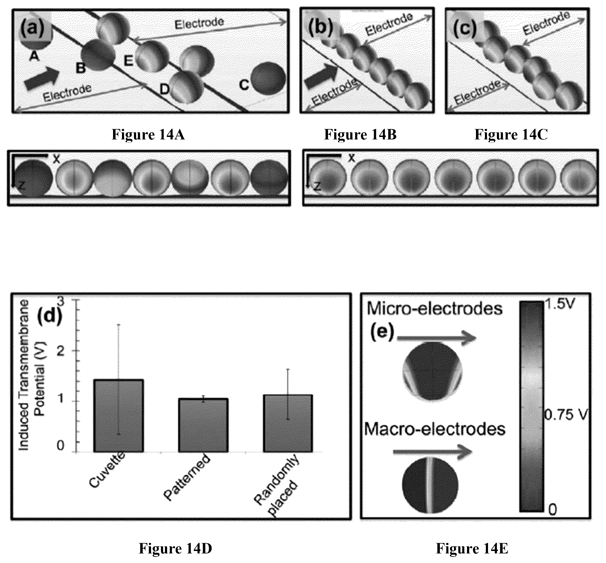 Patent US12564822 Figure 18 – Device for manufacture of T-cells for autologous cell therapy