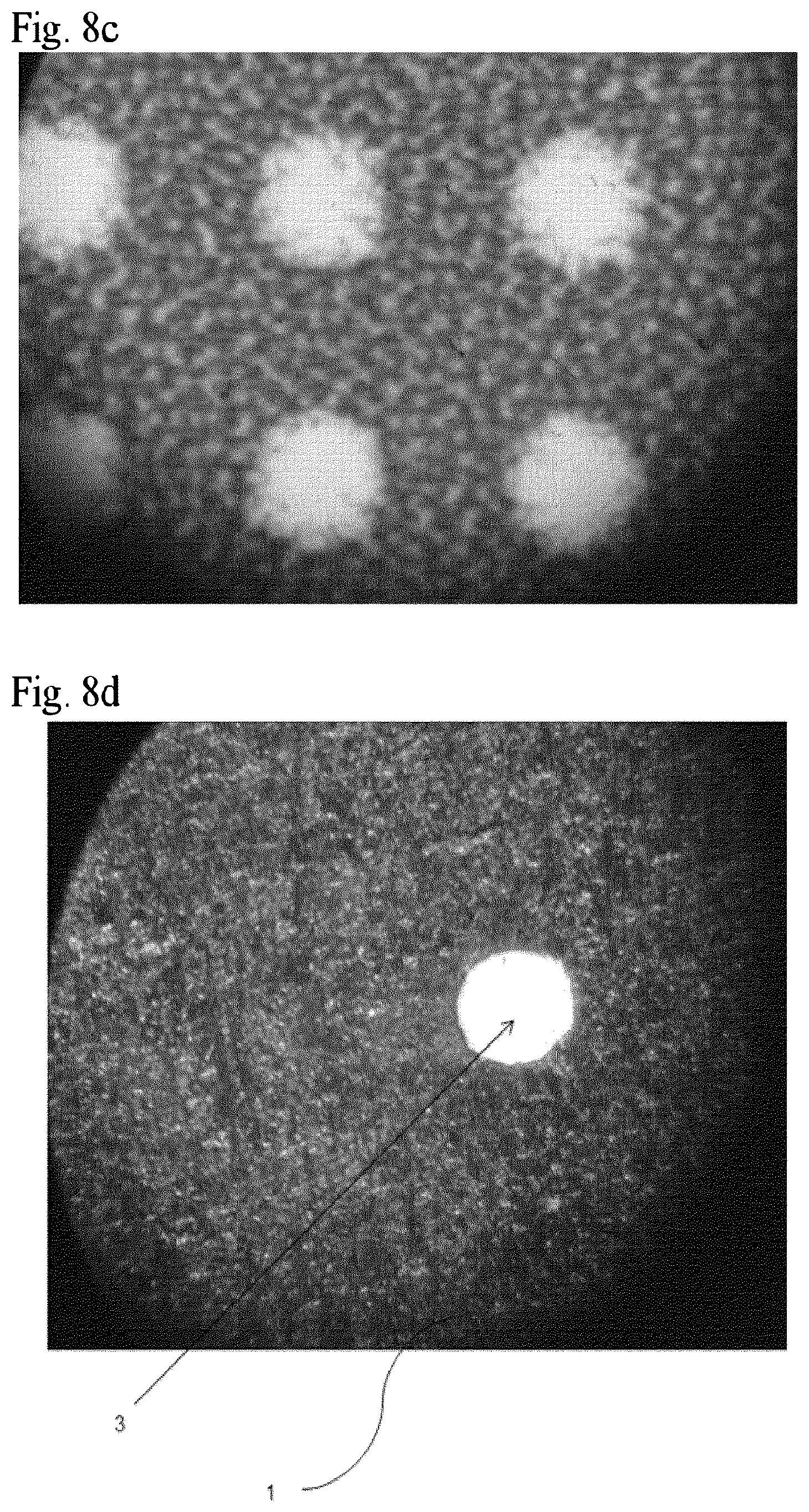 Patent US12564834 Figure 9 – Method for manufacturing an analysis chip and analysis chip