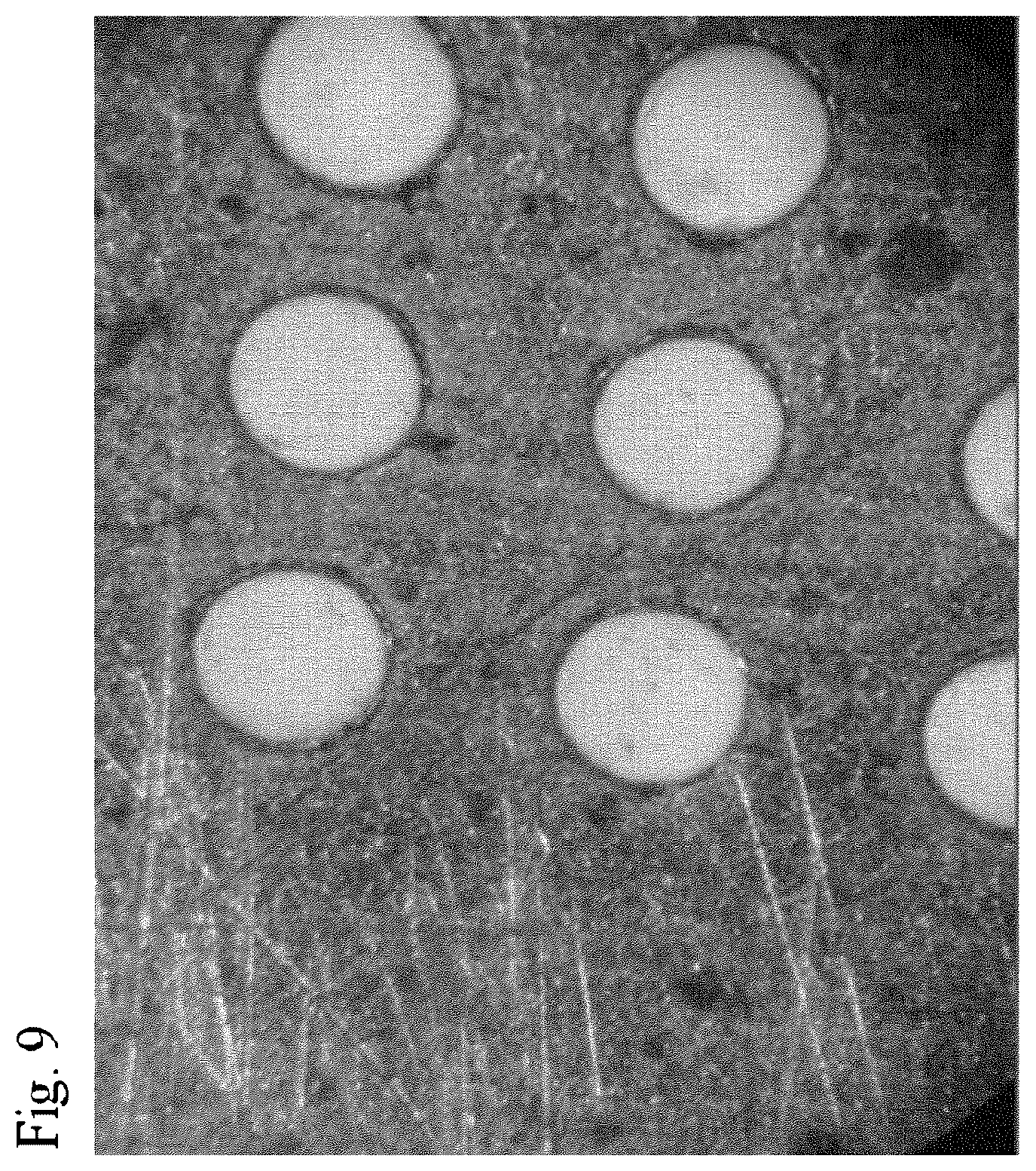 Patent US12564834 Figure 10 – Method for manufacturing an analysis chip and analysis chip