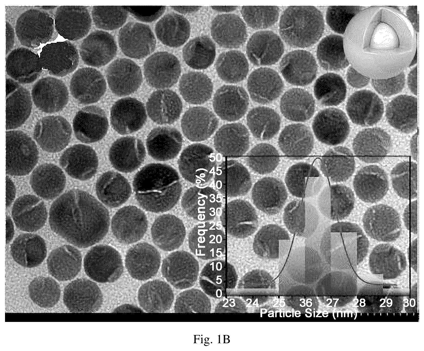 Patent US12564835 Figure 2 – Biosensing platform for in-situ sampling and target detection based on upconversion luminescence