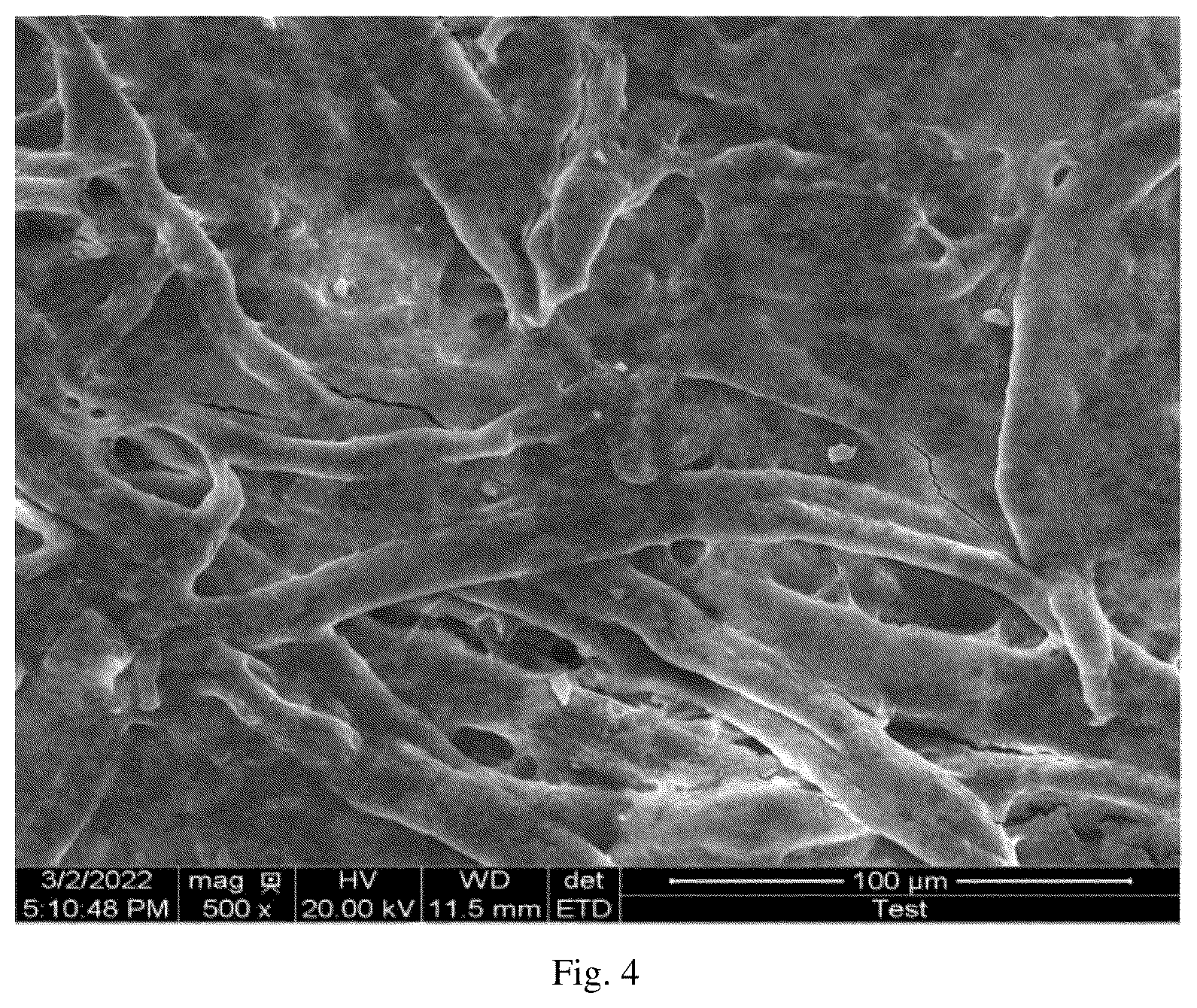 Patent US12564835 Figure 9 – Biosensing platform for in-situ sampling and target detection based on upconversion luminescence