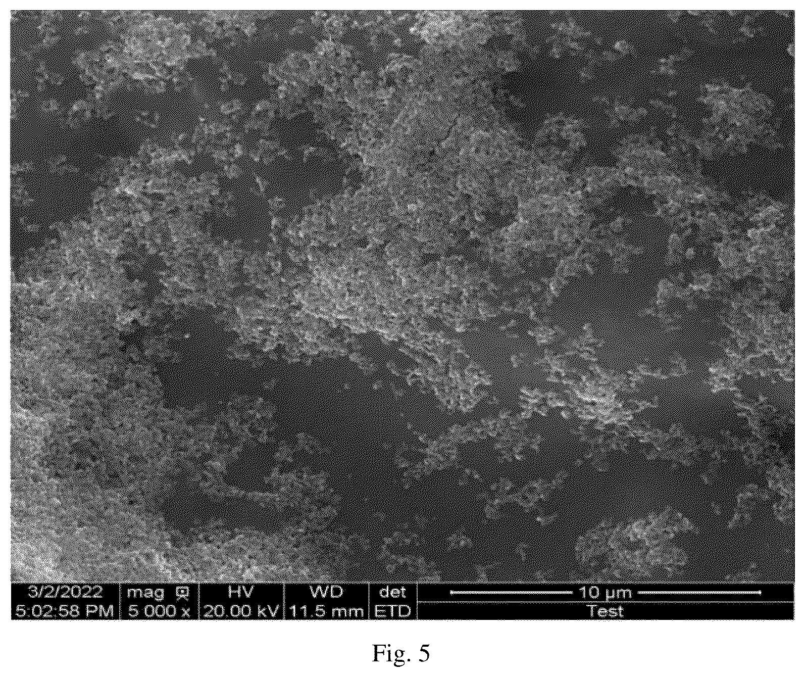 Patent US12564835 Figure 10 – Biosensing platform for in-situ sampling and target detection based on upconversion luminescence