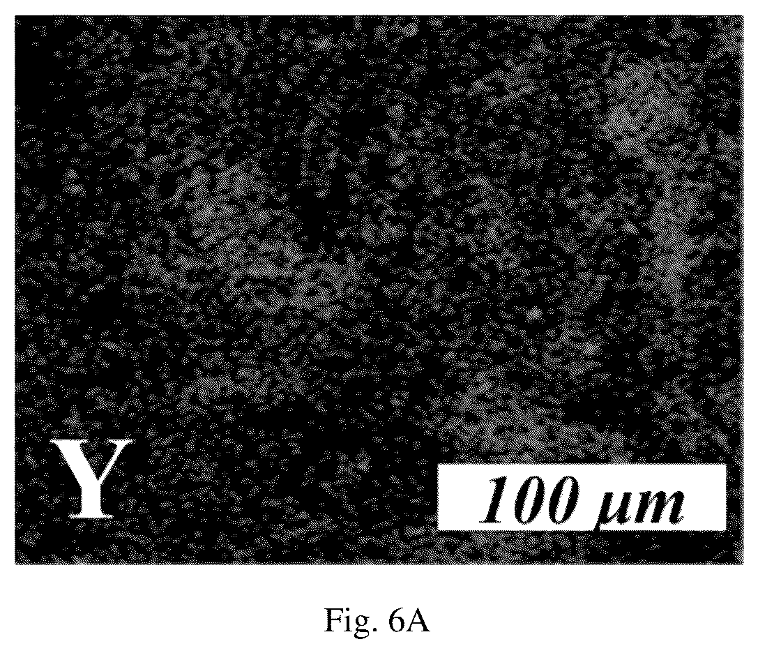 Patent US12564835 Figure 11 – Biosensing platform for in-situ sampling and target detection based on upconversion luminescence