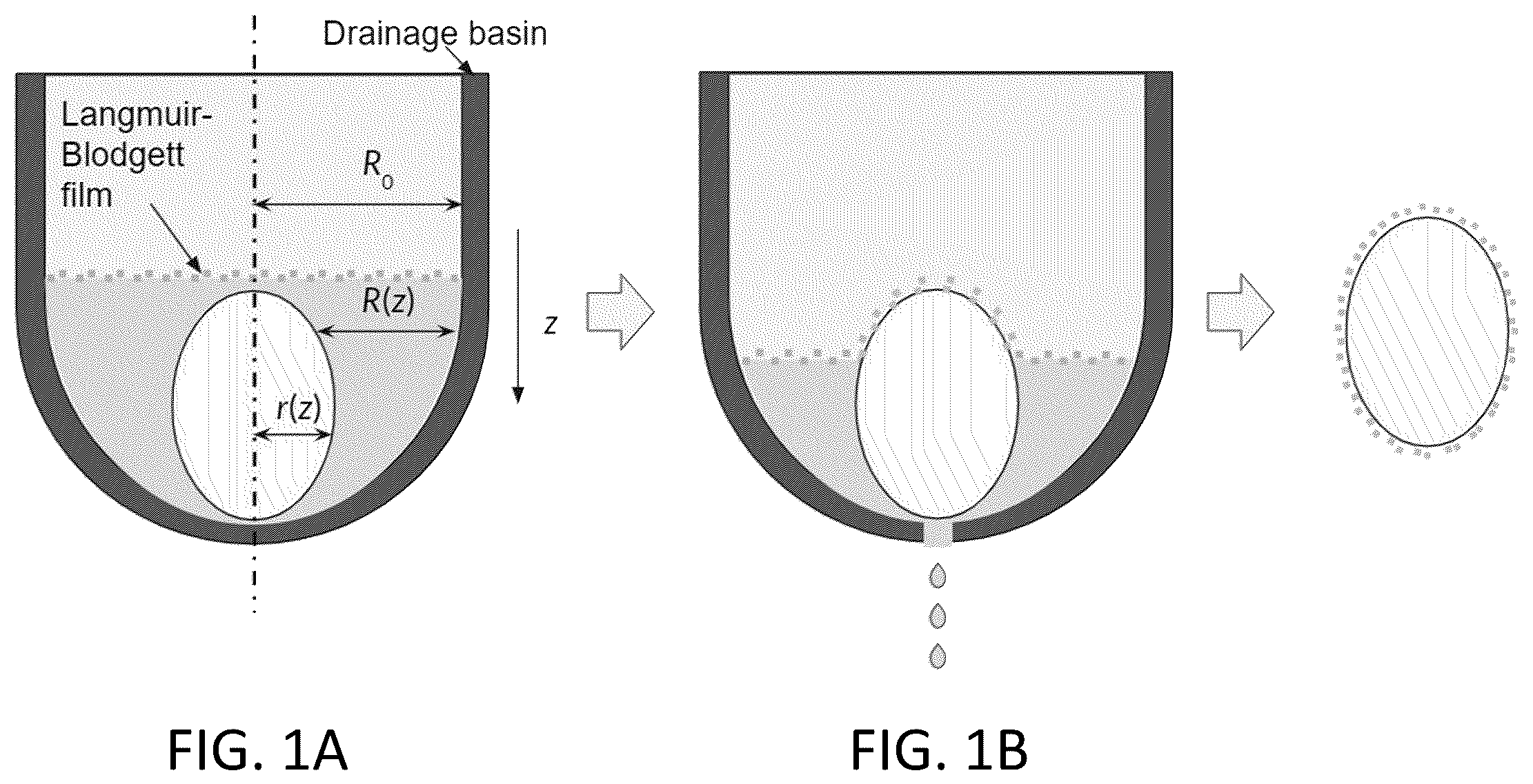 Patent US12564859 Figure 1 – Motor-free method to 3D monolayer coatings