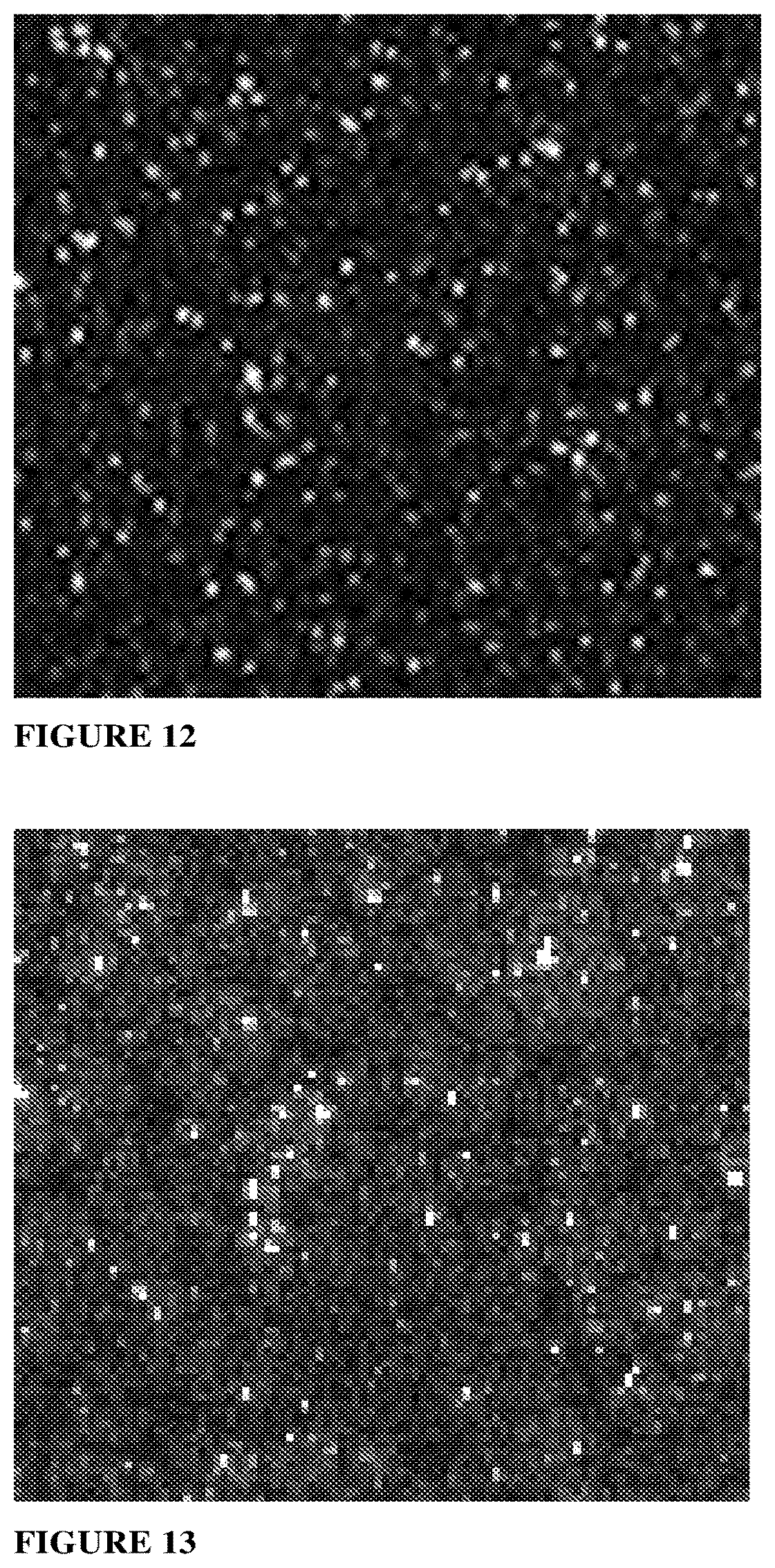Patent US12564860 Figure 8 – Coating process