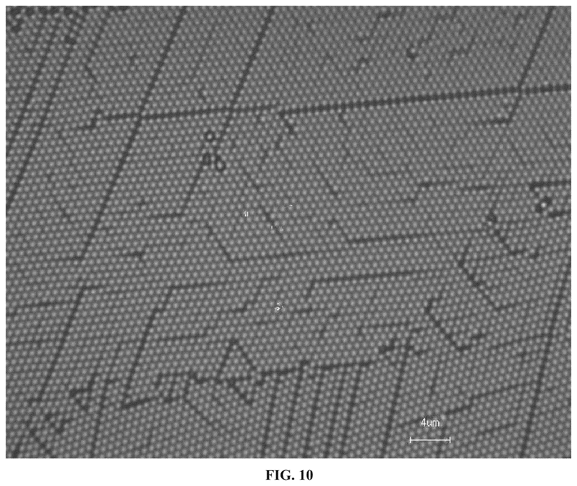 Patent US12564864 Figure 9 – Three-dimensionally arranged nanoparticle film with array structure and preparation method and use thereof