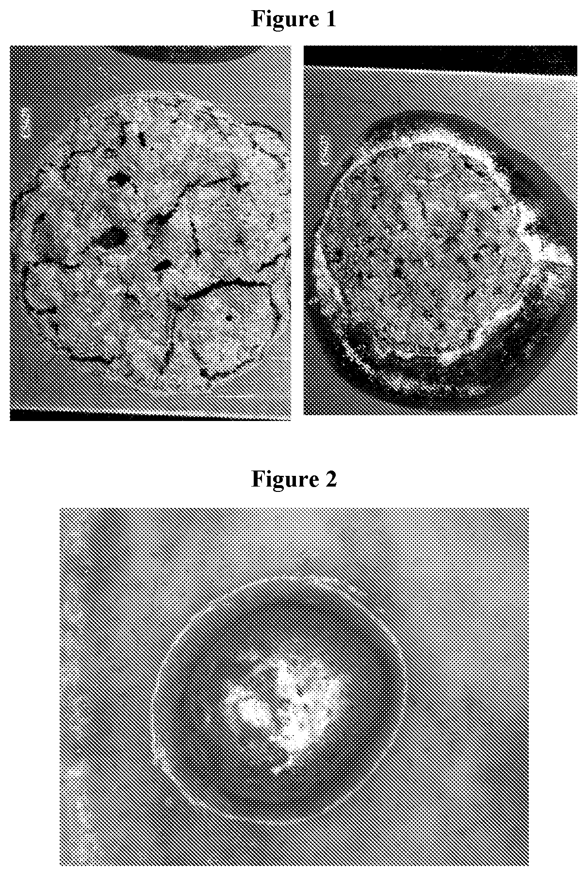 Patent US12564907 Figure 1 – Indium solder paste compositions