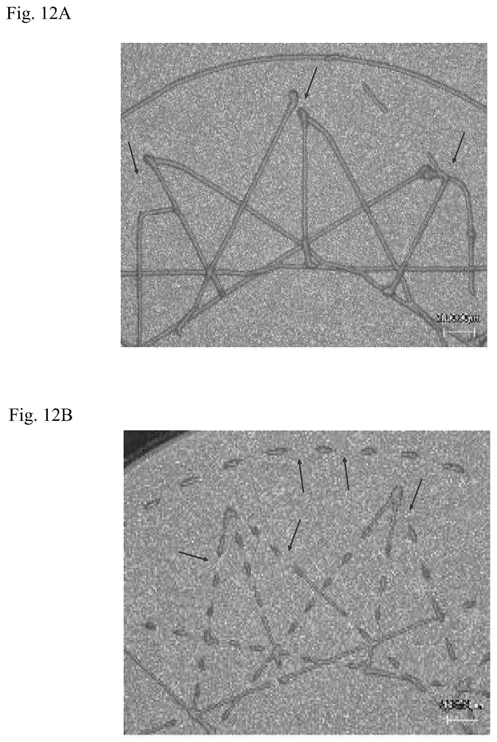 Patent US12564998 Figure 9 – Production method for personal care product