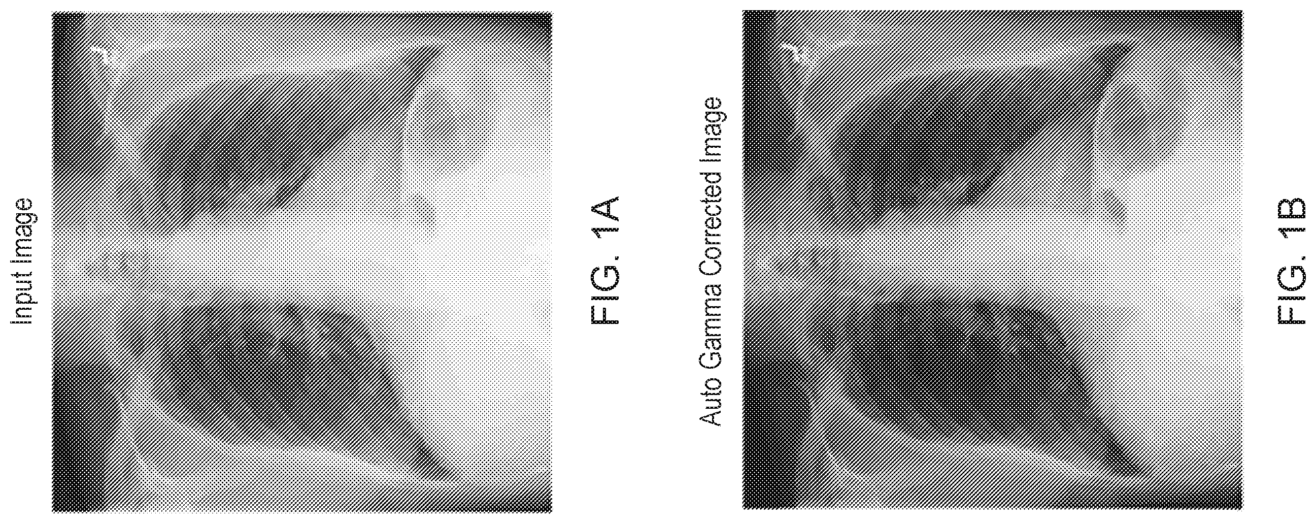 Patent US12567132 Figure 1 – Auto gamma correction