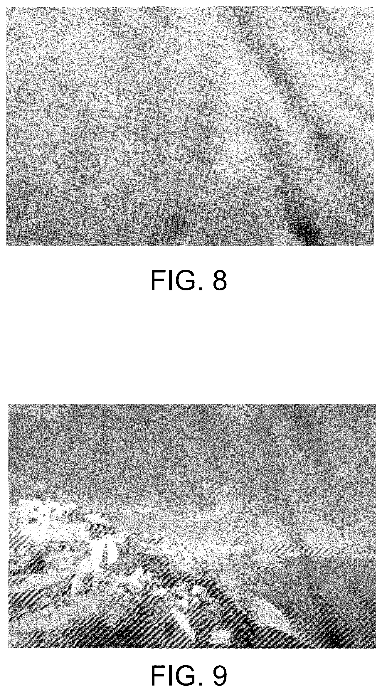 Patent US12567228 Figure 5 – Image data processing method, image data processing apparatus, and commercial use