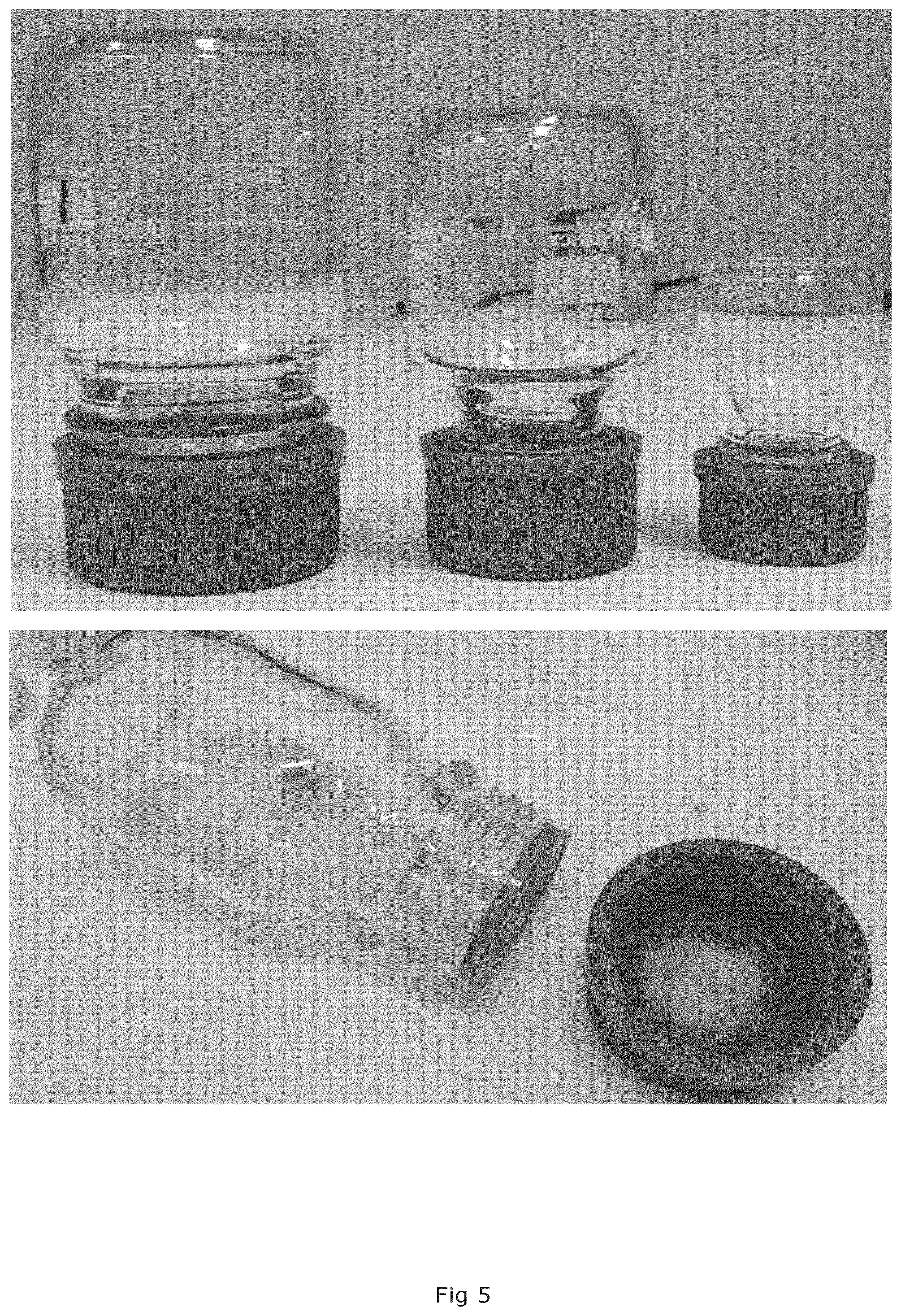 Patent US12567511 Figure 5 – Production of highly purified 212PB