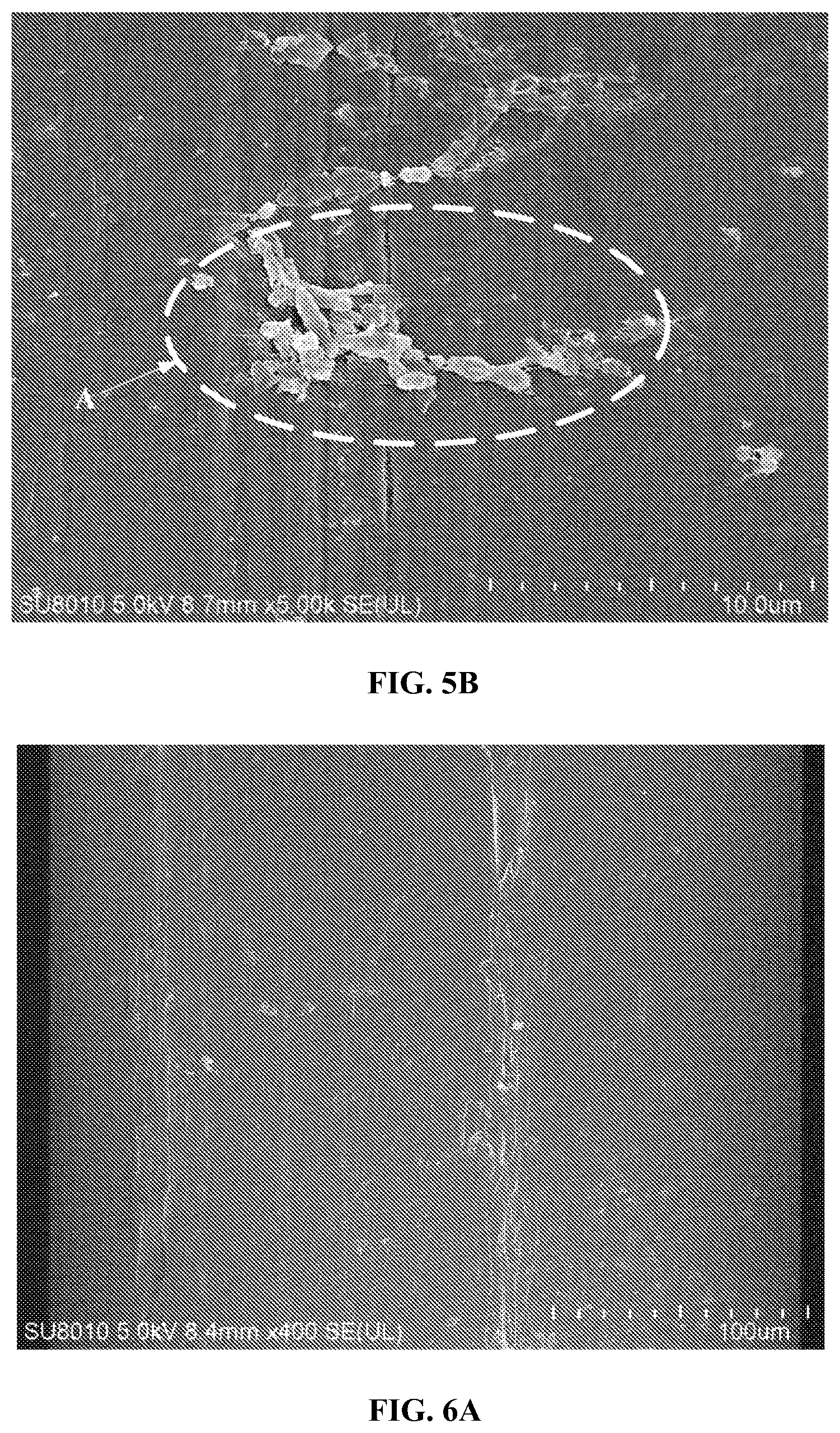 Patent US12569057 Figure 4 – Toothbrush filament and preparation method therefor, and toothbrush