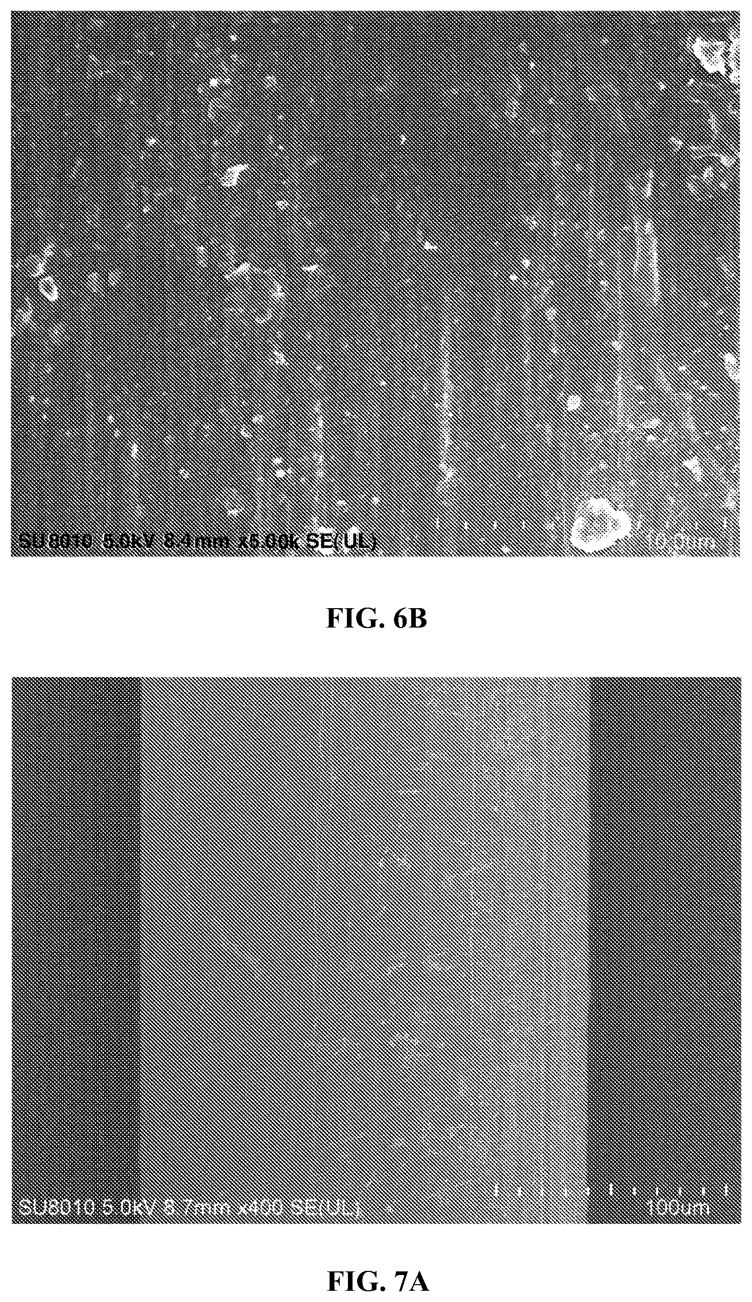 Patent US12569057 Figure 5 – Toothbrush filament and preparation method therefor, and toothbrush